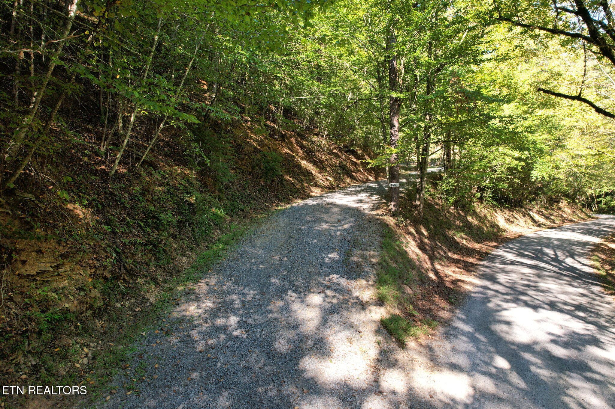 25-web-or-mls-DJI_0093 - 1699 Childers Creek Rd, Reliance, TN 37369, Reliance