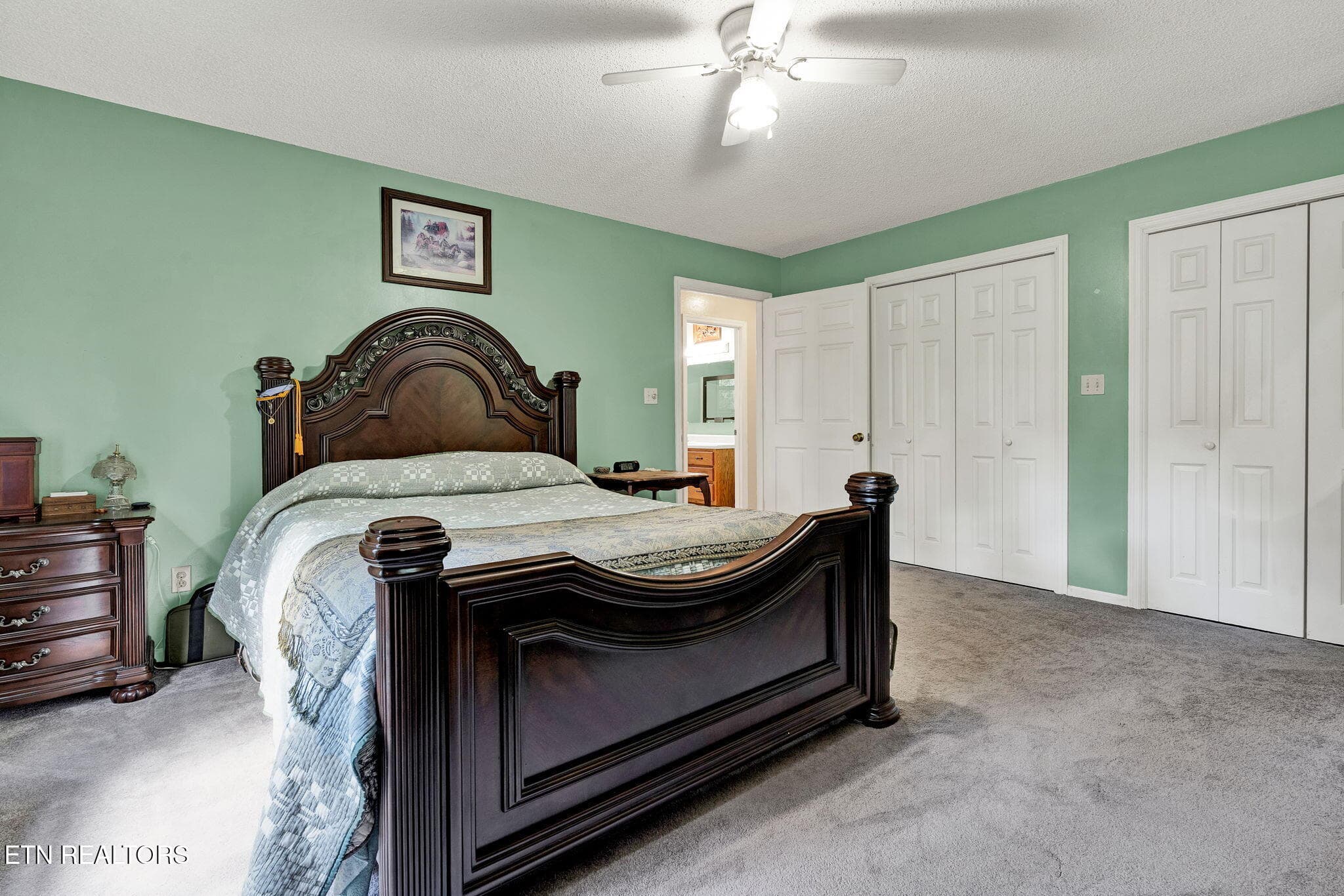 42-web-or-mls-DSC05695 - 1699 Childers Creek Rd, Reliance, TN 37369, Reliance