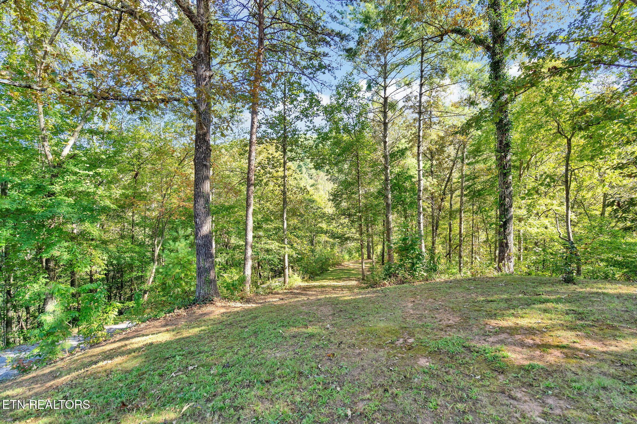 58-web-or-mls-DSC05762 - 1699 Childers Creek Rd, Reliance, TN 37369, Reliance