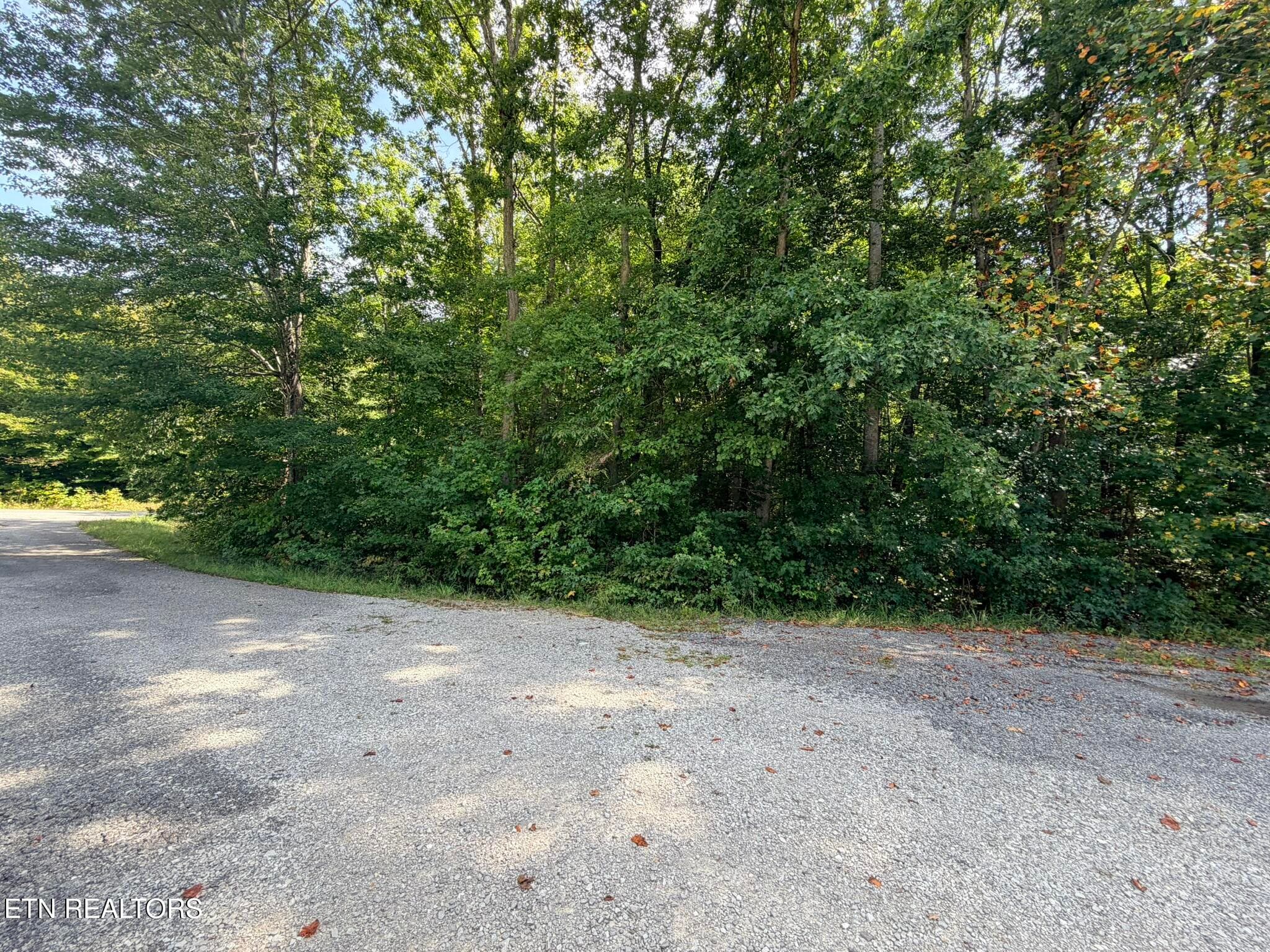 IMG_9830 - Lot 4 Evergreen Drive, Oneida, TN 37841