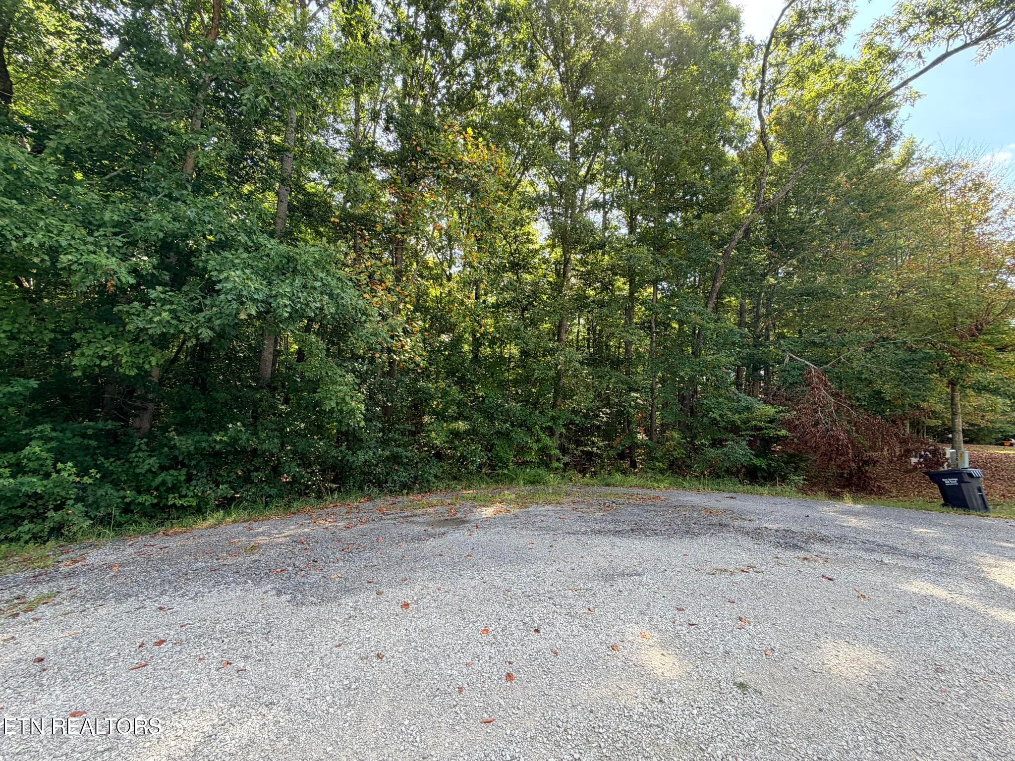IMG_9829 - Lot 4 Evergreen Drive, Oneida, TN 37841