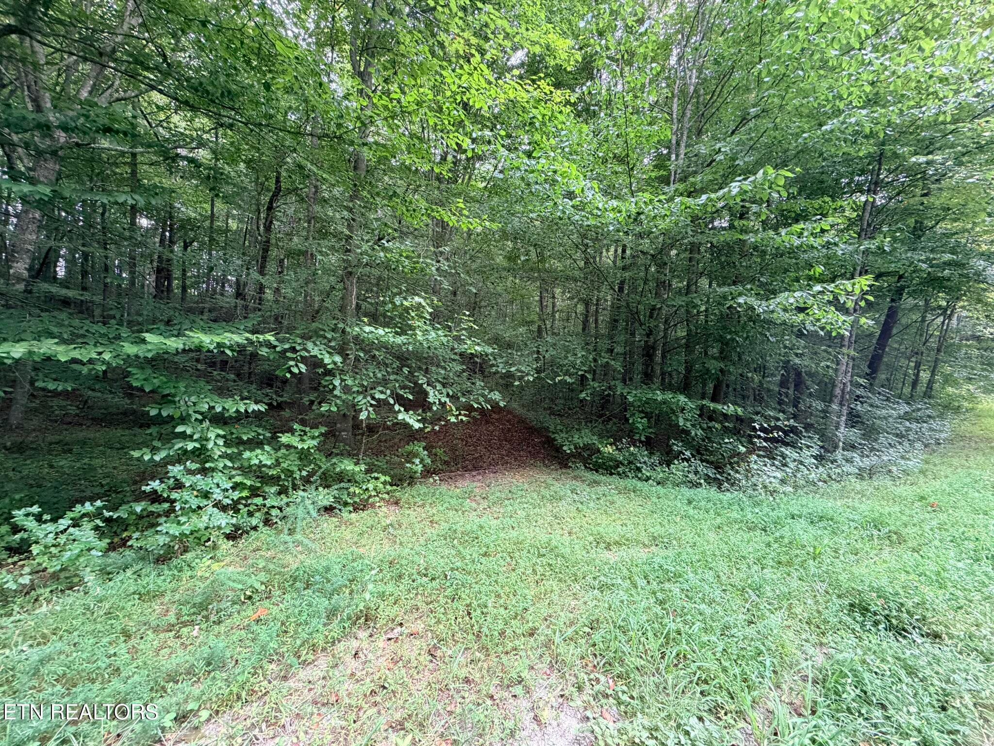 IMG_9791 - Lot 2 Evergreen Drive, Oneida, TN 37841