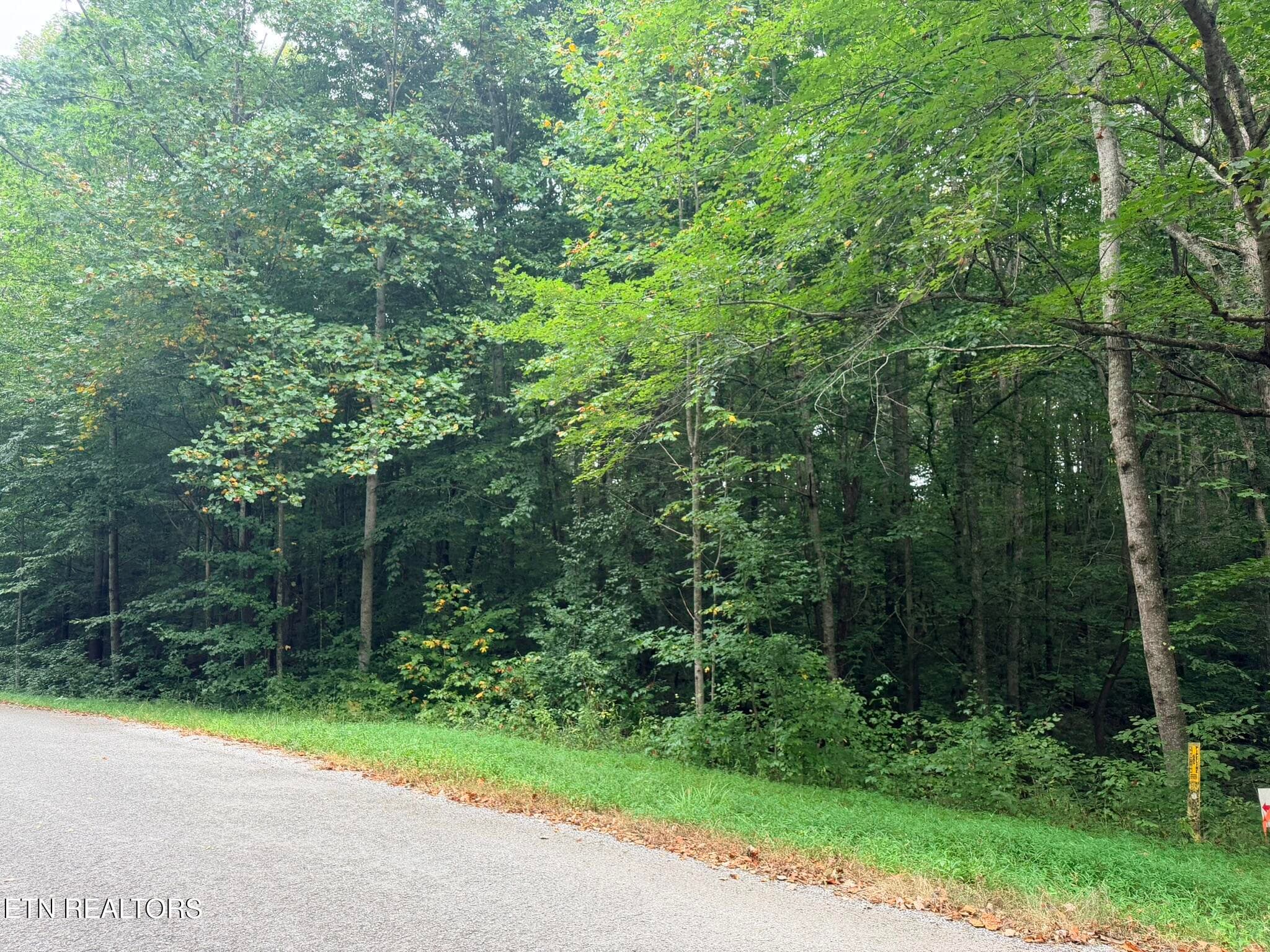 IMG_9789 - Lot 2 Evergreen Drive, Oneida, TN 37841
