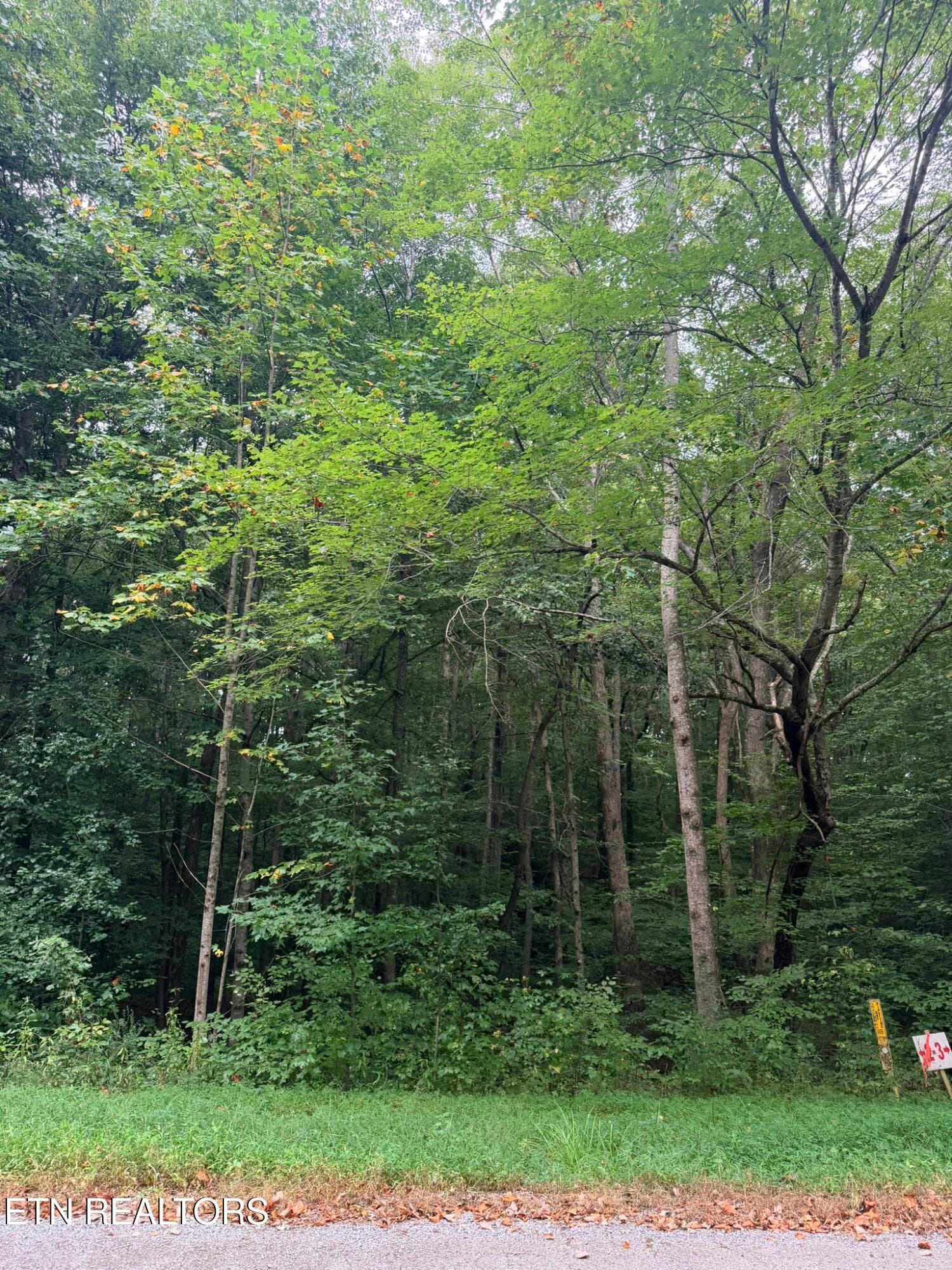 IMG_9787 - Lot 2 Evergreen Drive, Oneida, TN 37841