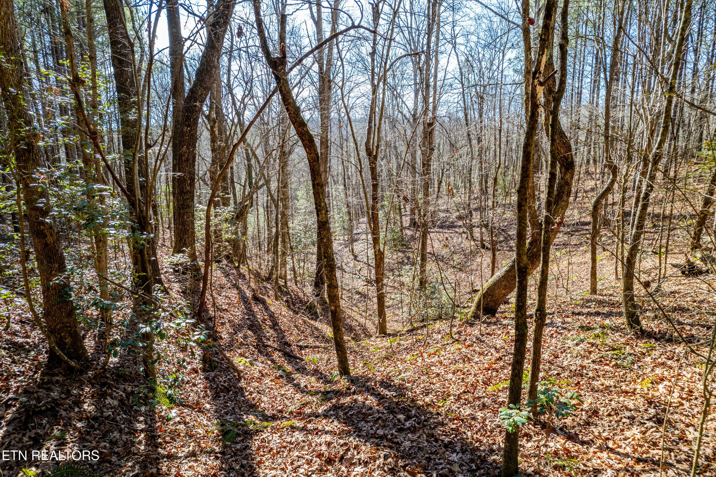 BrendaBabajAirportRd,Rockwood,TN-22 - Lower Rockwood Rd Lot 15, Rockwood, TN 37854, Rockwood