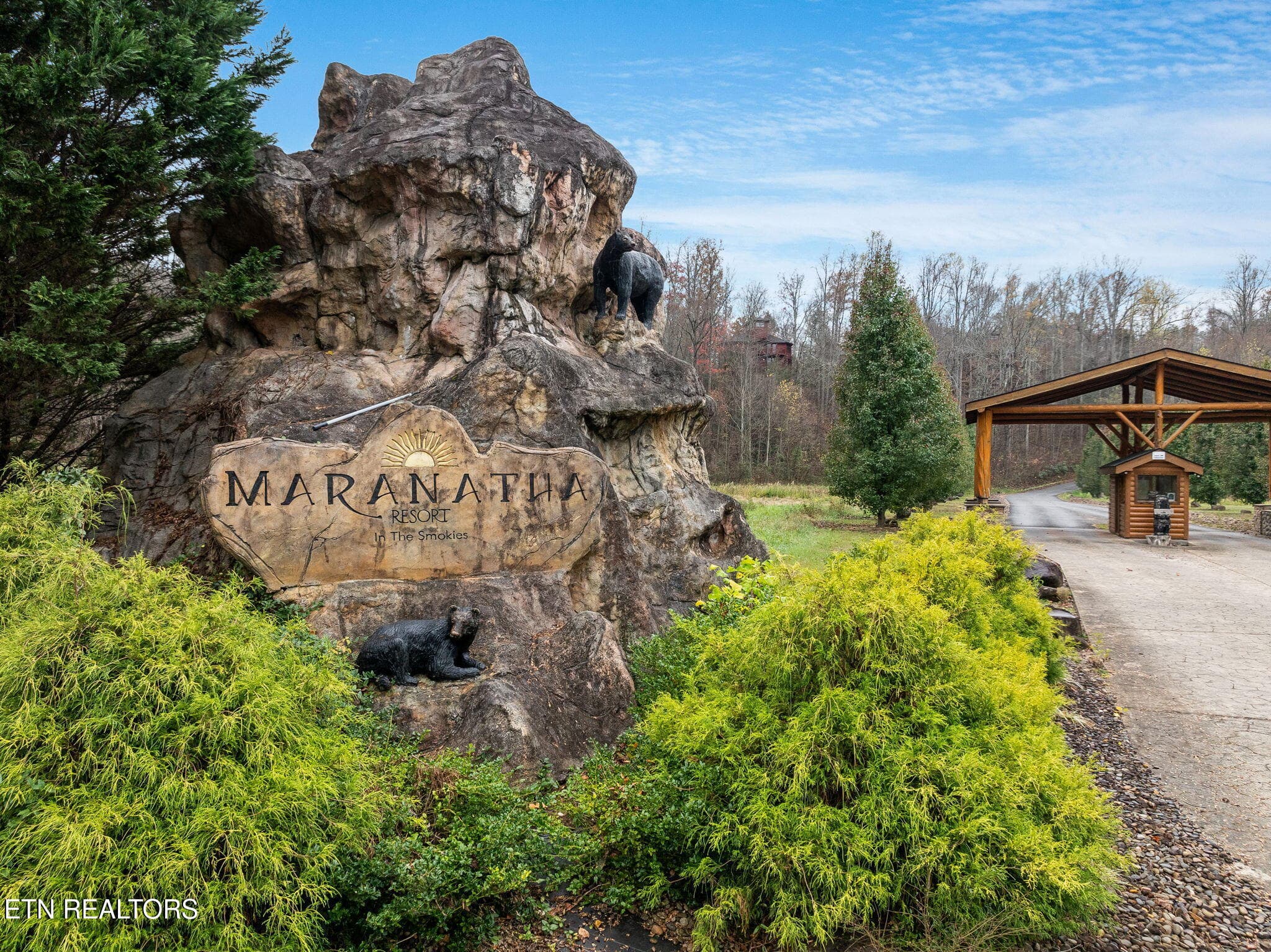 5-web-or-mls-224-amet-way - 220 Amet Way, Cosby, TN 37722, Cosby