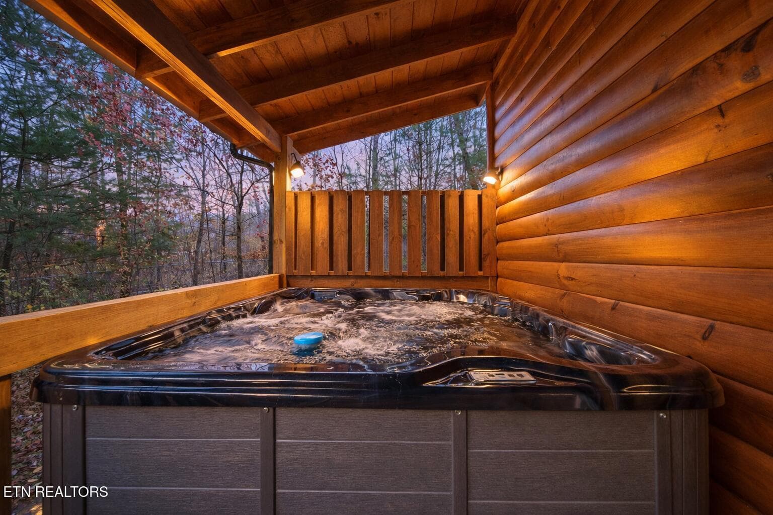 Hot Tub 224 Amet Way Cosby Tn cabin for - 224 Amet Way, Cosby, TN 37722, Cosby
