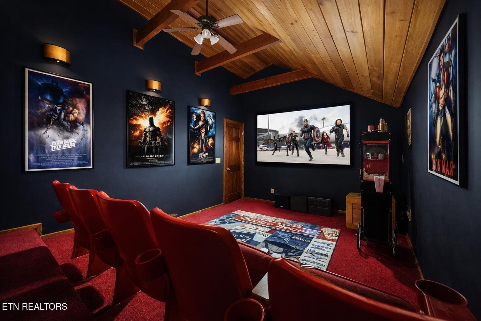 Movie Theater room of 224 Amet Way Cosby - 224 Amet Way, Cosby, TN 37722, Cosby