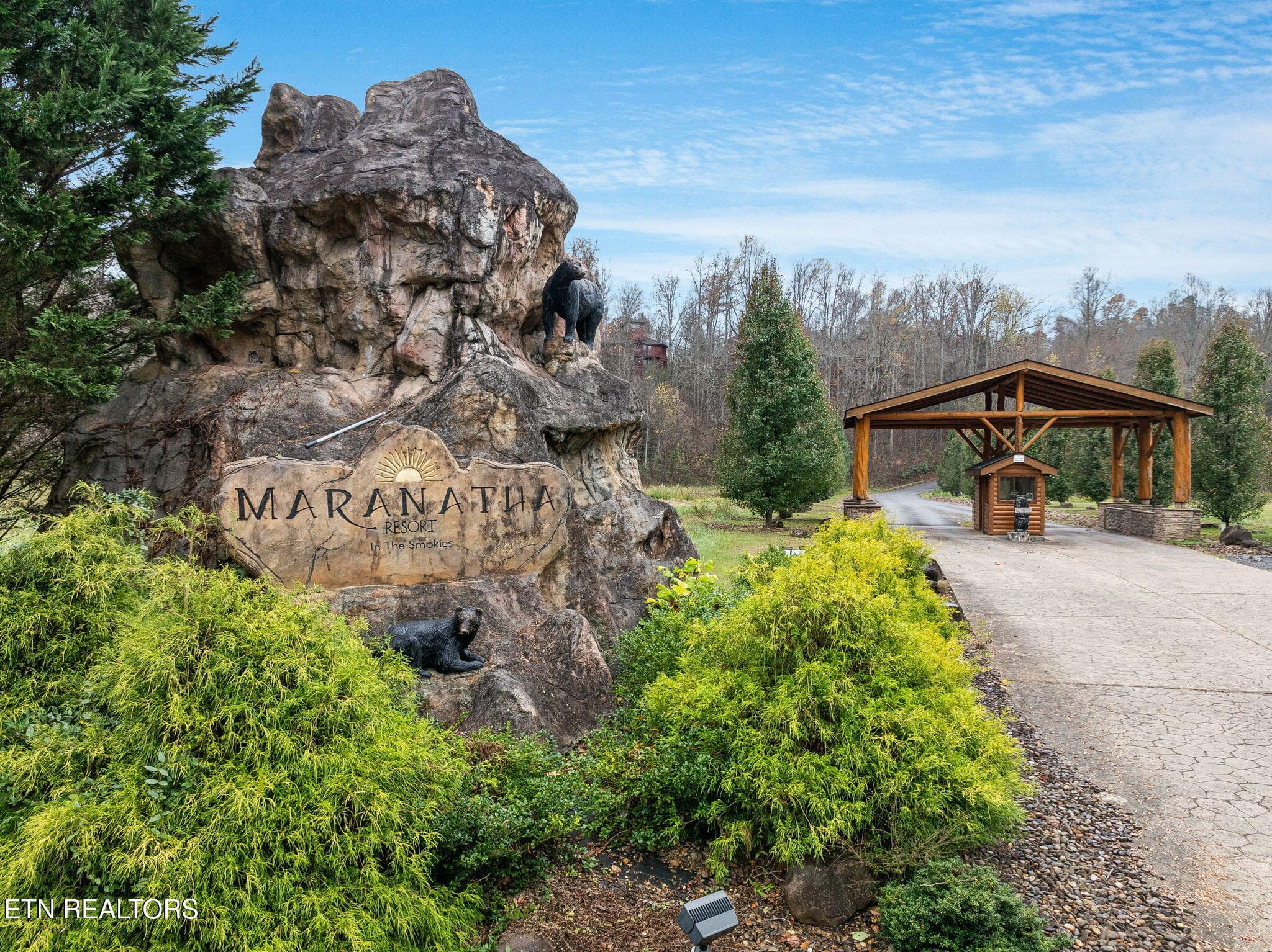 4-web-or-mls-224-amet-way - 224 Amet Way, Cosby, TN 37722, Cosby