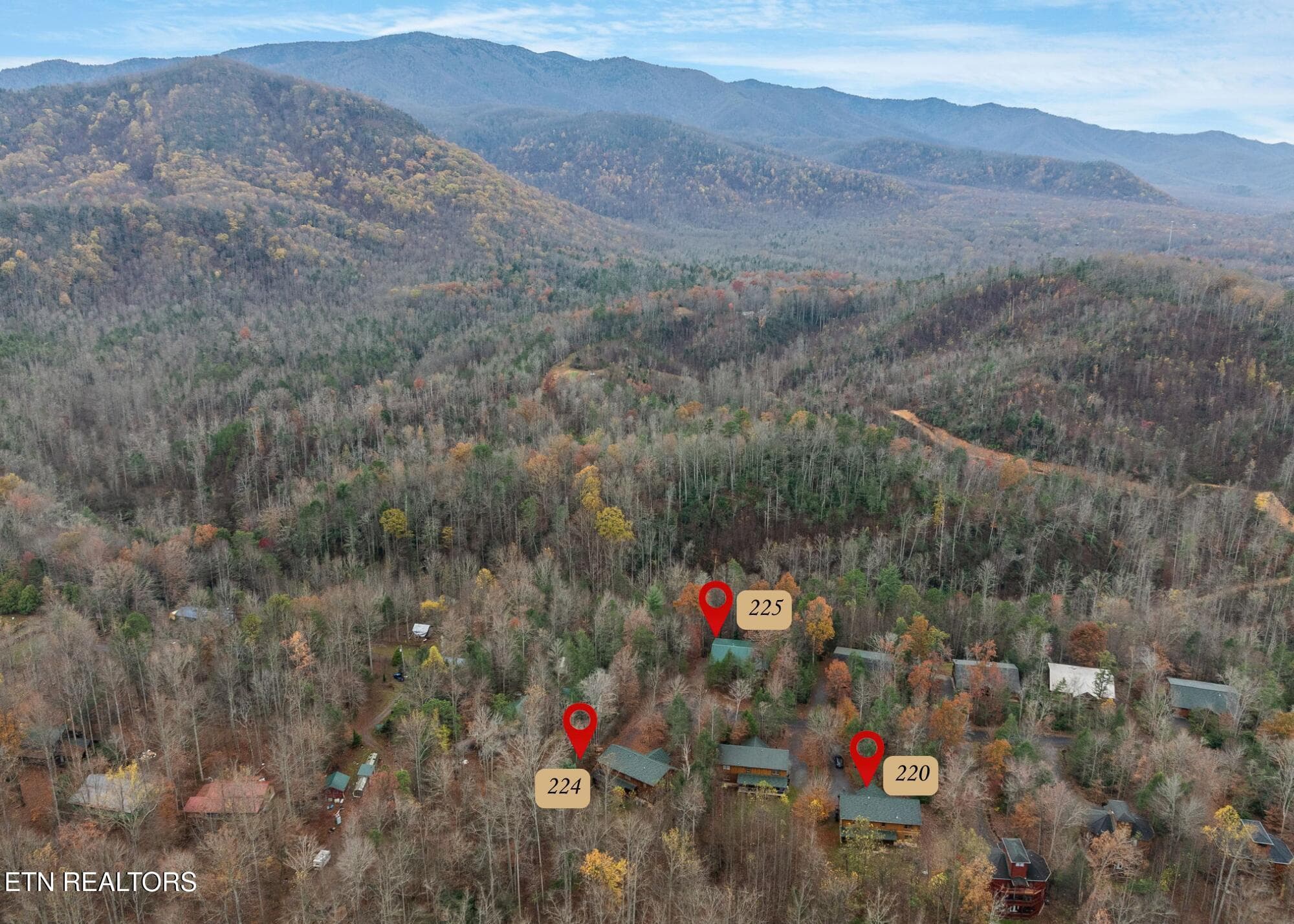 Resort 3 cabins - 224 Amet Way, Cosby, TN 37722, Cosby