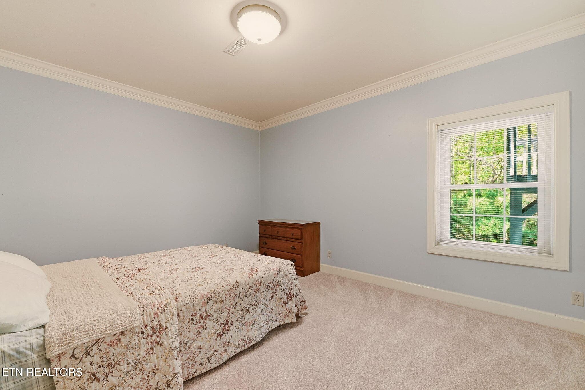 Bedroom 5 downstairs - 108 Amanda Place, Oak Ridge, TN 37830, Oak Ridge