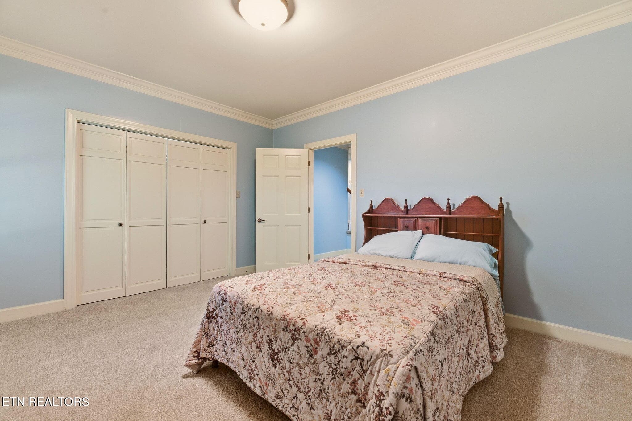 Bedroom 5 downstairs - 108 Amanda Place, Oak Ridge, TN 37830, Oak Ridge