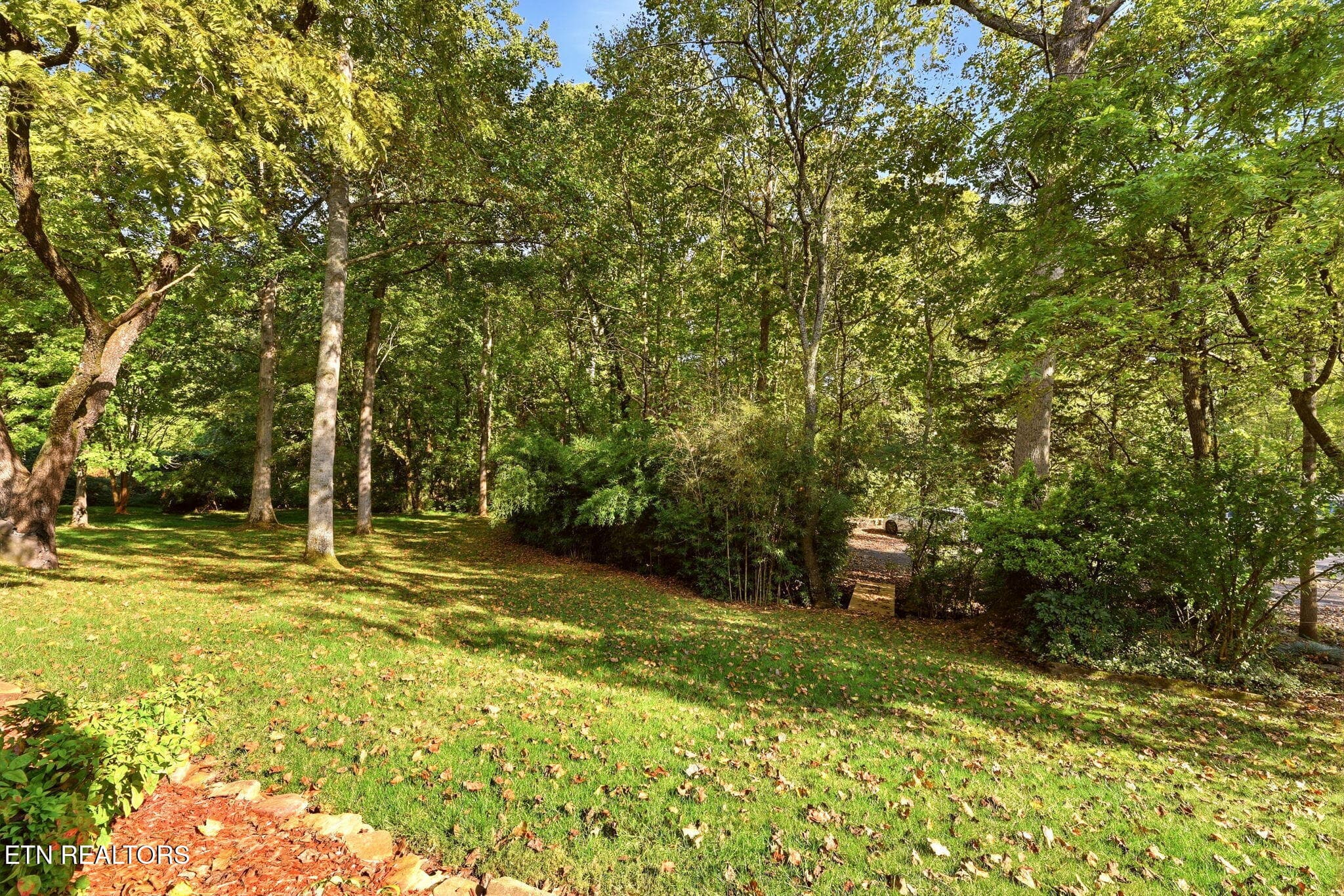 Rear yard - 108 Amanda Place, Oak Ridge, TN 37830, Oak Ridge