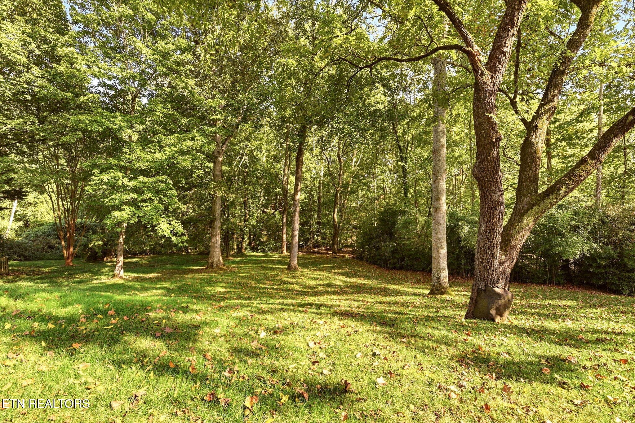 Serene back yard - 108 Amanda Place, Oak Ridge, TN 37830, Oak Ridge