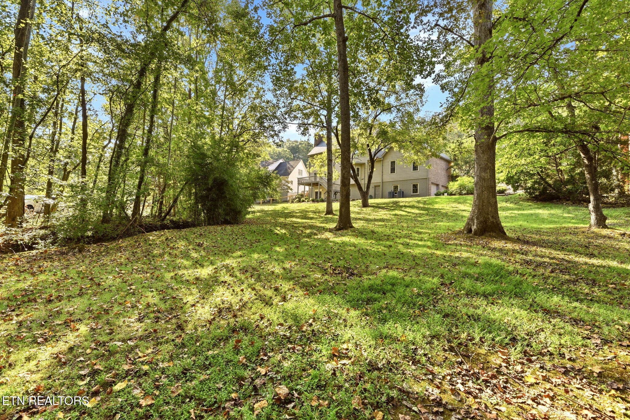 Rear view - 108 Amanda Place, Oak Ridge, TN 37830, Oak Ridge