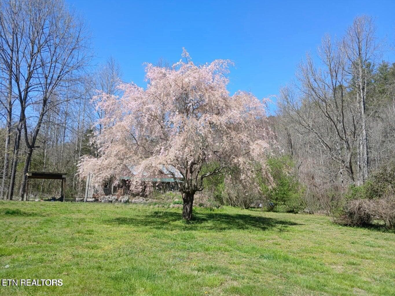 Rocky Flats - 1223 Rocky Flats Rd, Cosby, TN 37722, Cosby