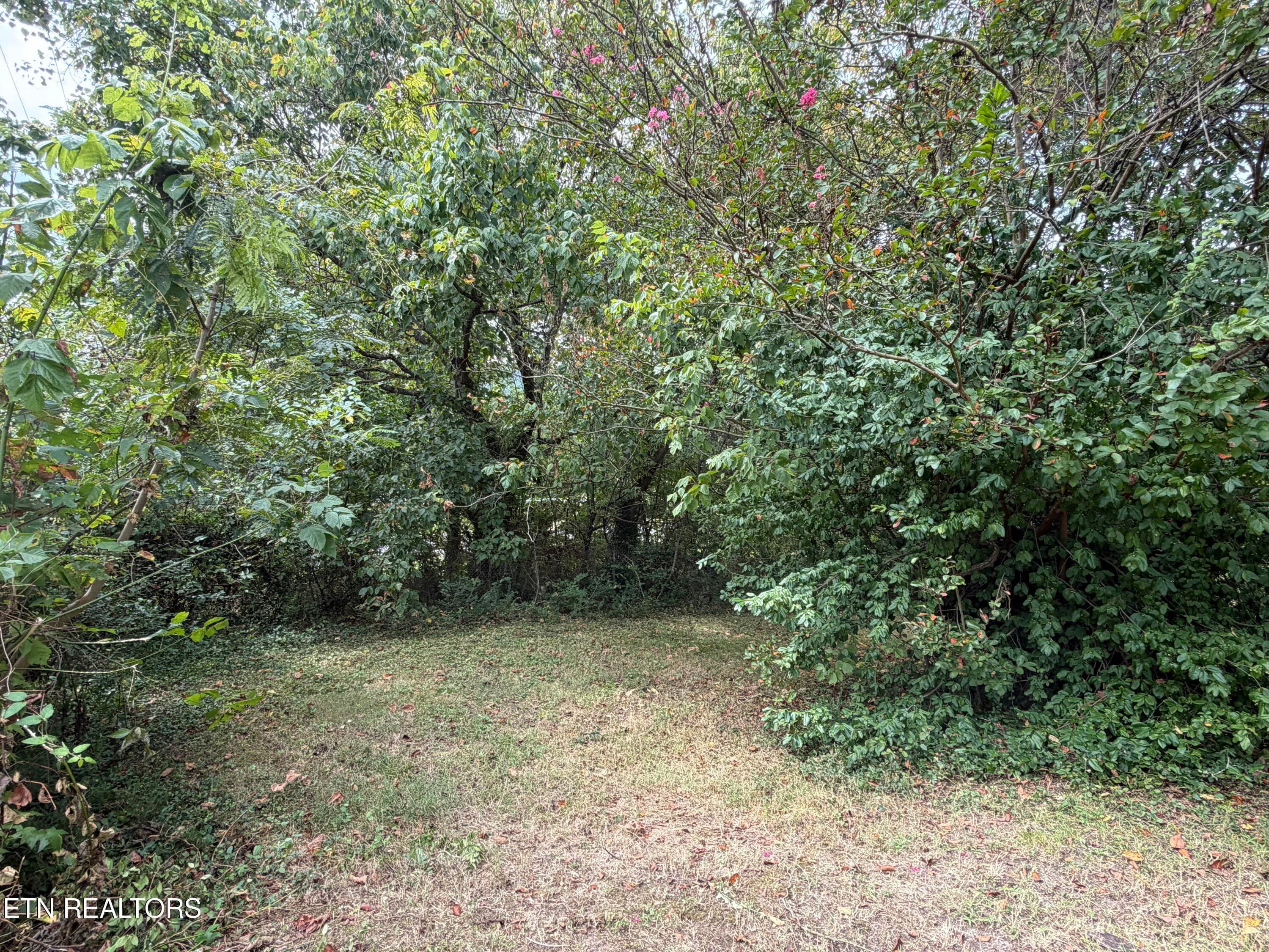 14_4 - 201 Hillcrest Ave, Rocky Top, TN 37769, Rocky Top