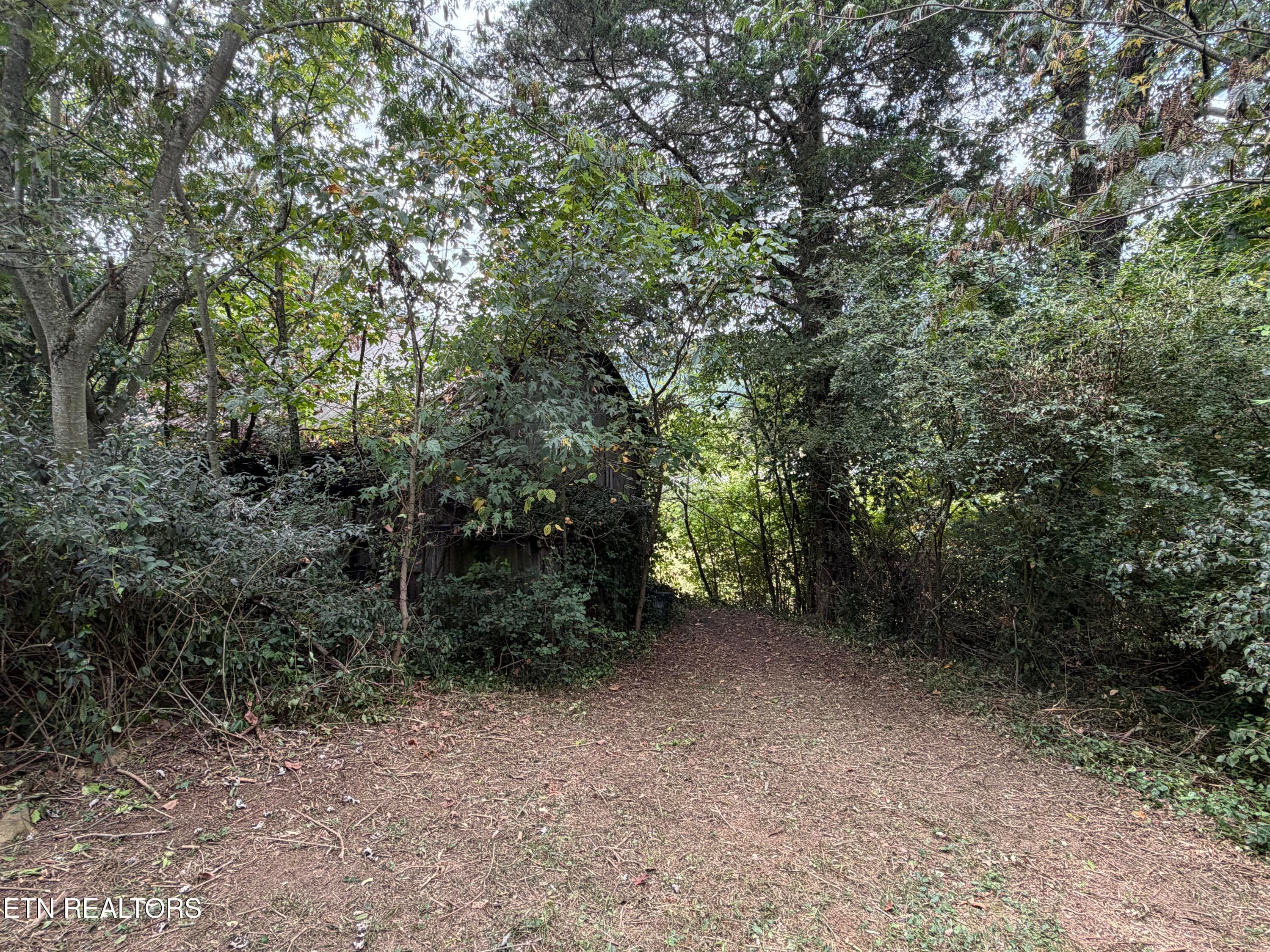 14_6 - 201 Hillcrest Ave, Rocky Top, TN 37769, Rocky Top