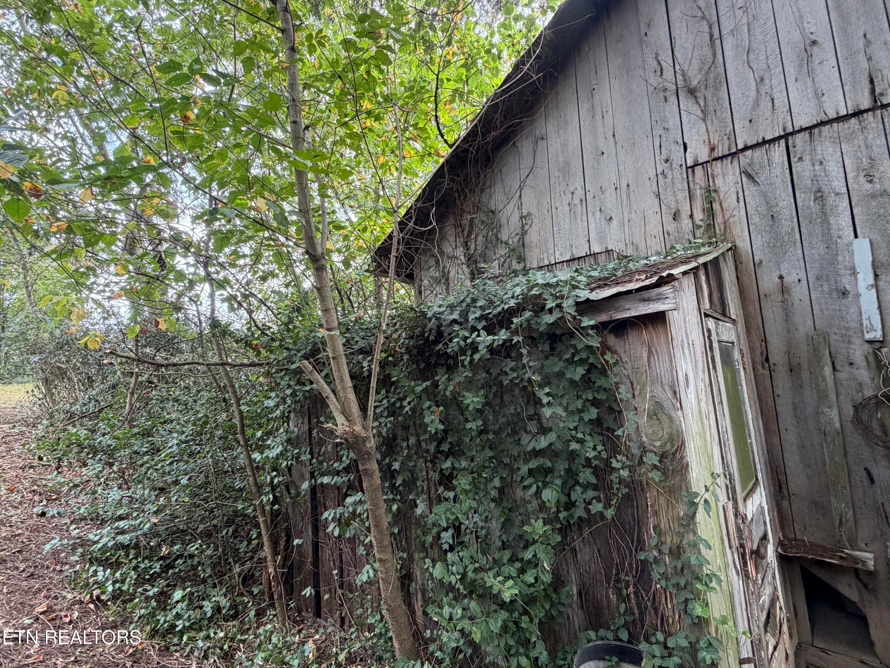 14_9 - 201 Hillcrest Ave, Rocky Top, TN 37769, Rocky Top