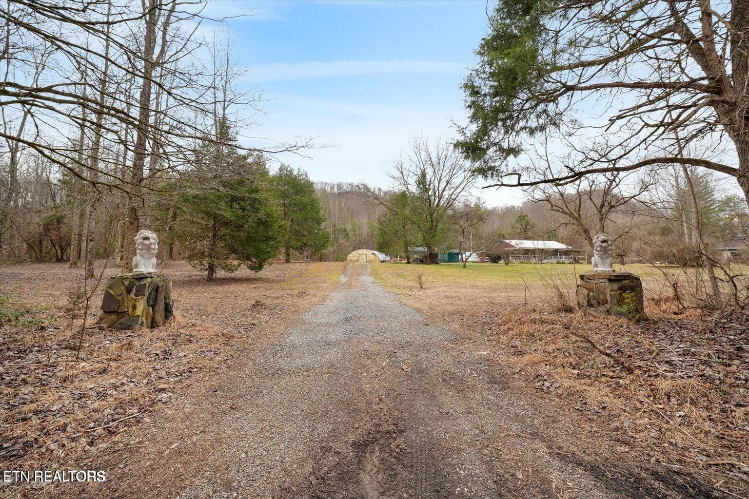 driveway/ front yard - 1223 Rocky Flats Rd, Cosby, TN 37722, Cosby