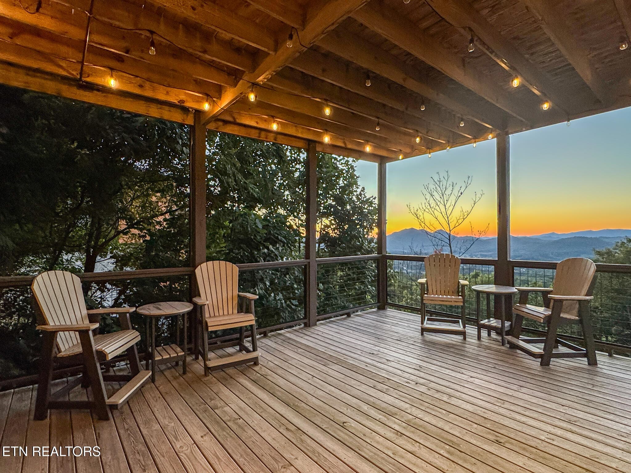 IMG_8133-Edit - 3101 Lexy Lane, Sevierville, TN 37862