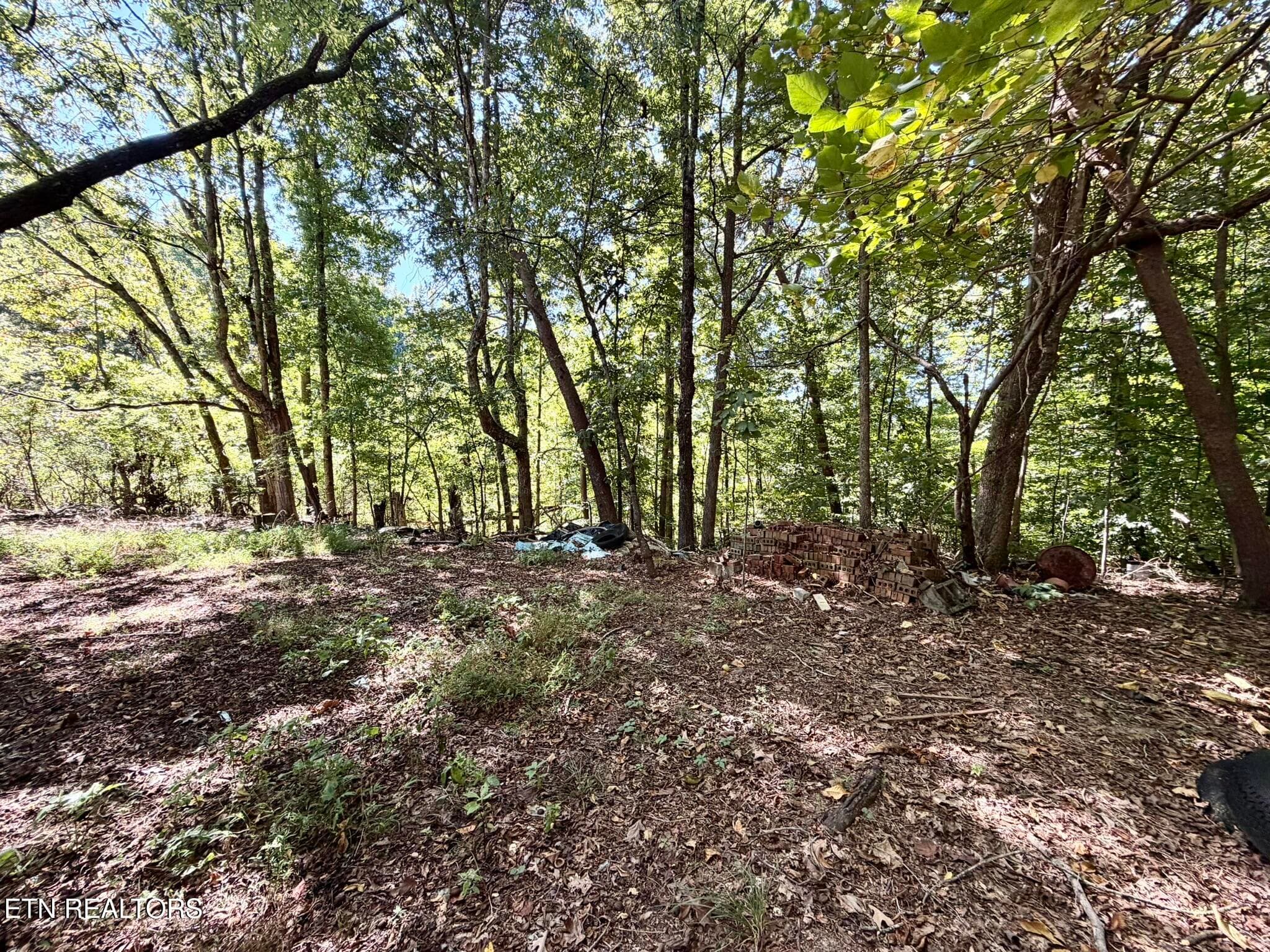 Tipton Myers 135 Back Woods 2 - 135 Tipton Myers Drive, Maryville, TN 37804, Maryville