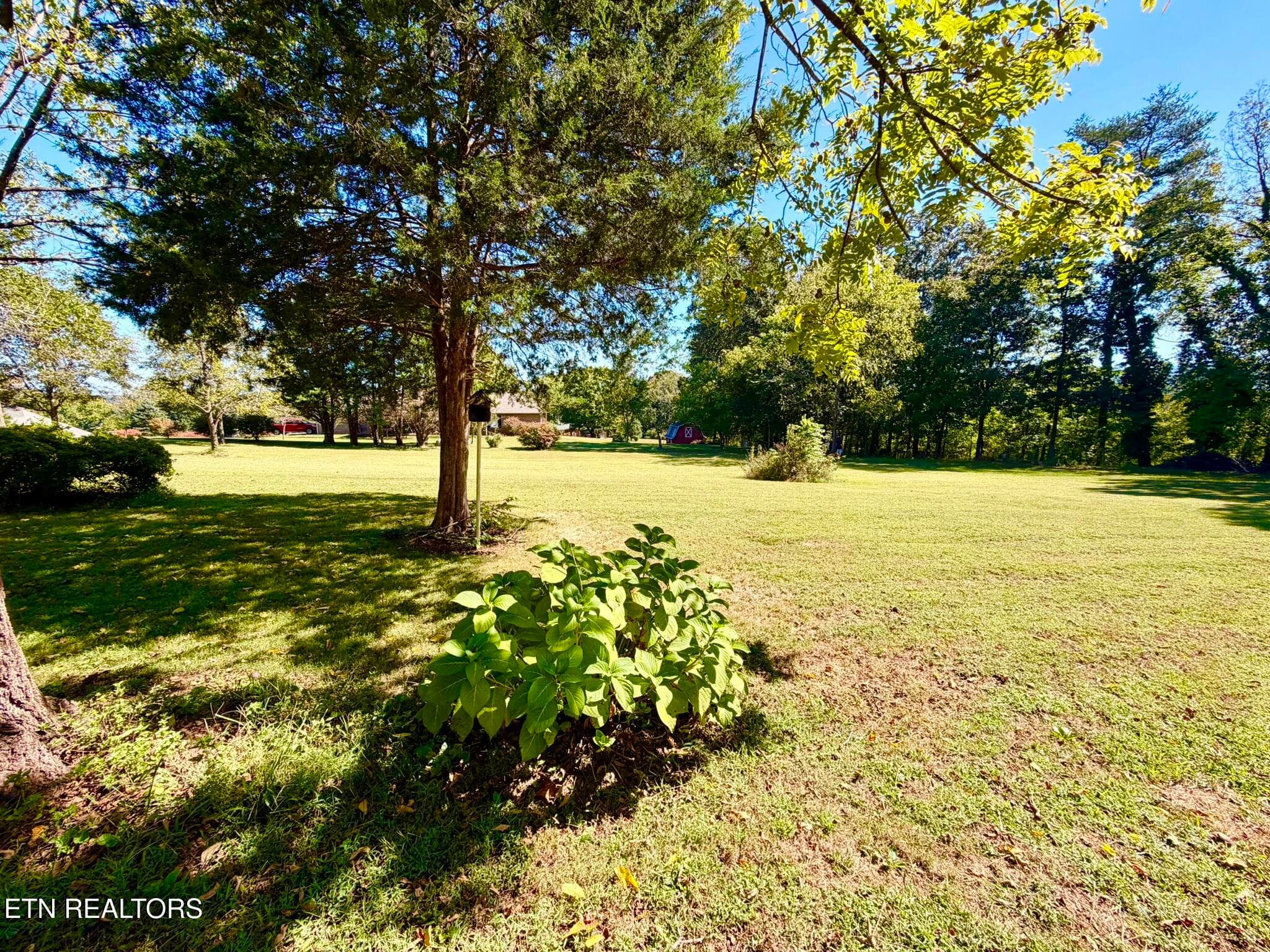 Tipton Myers 135 Front Yard 2 - 135 Tipton Myers Drive, Maryville, TN 37804, Maryville