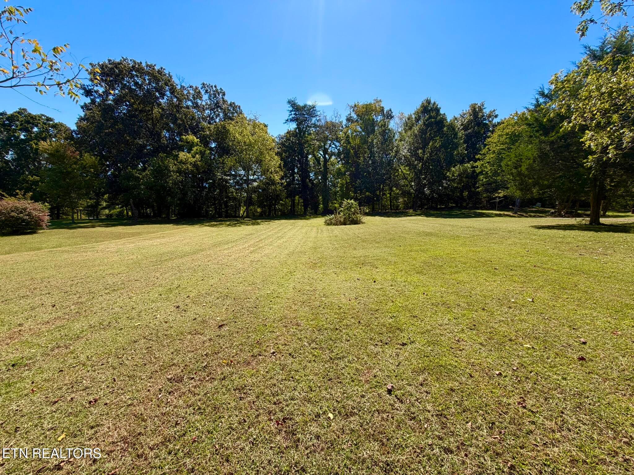 Tipton Myers 135 Front Yard 5 - 135 Tipton Myers Drive, Maryville, TN 37804, Maryville