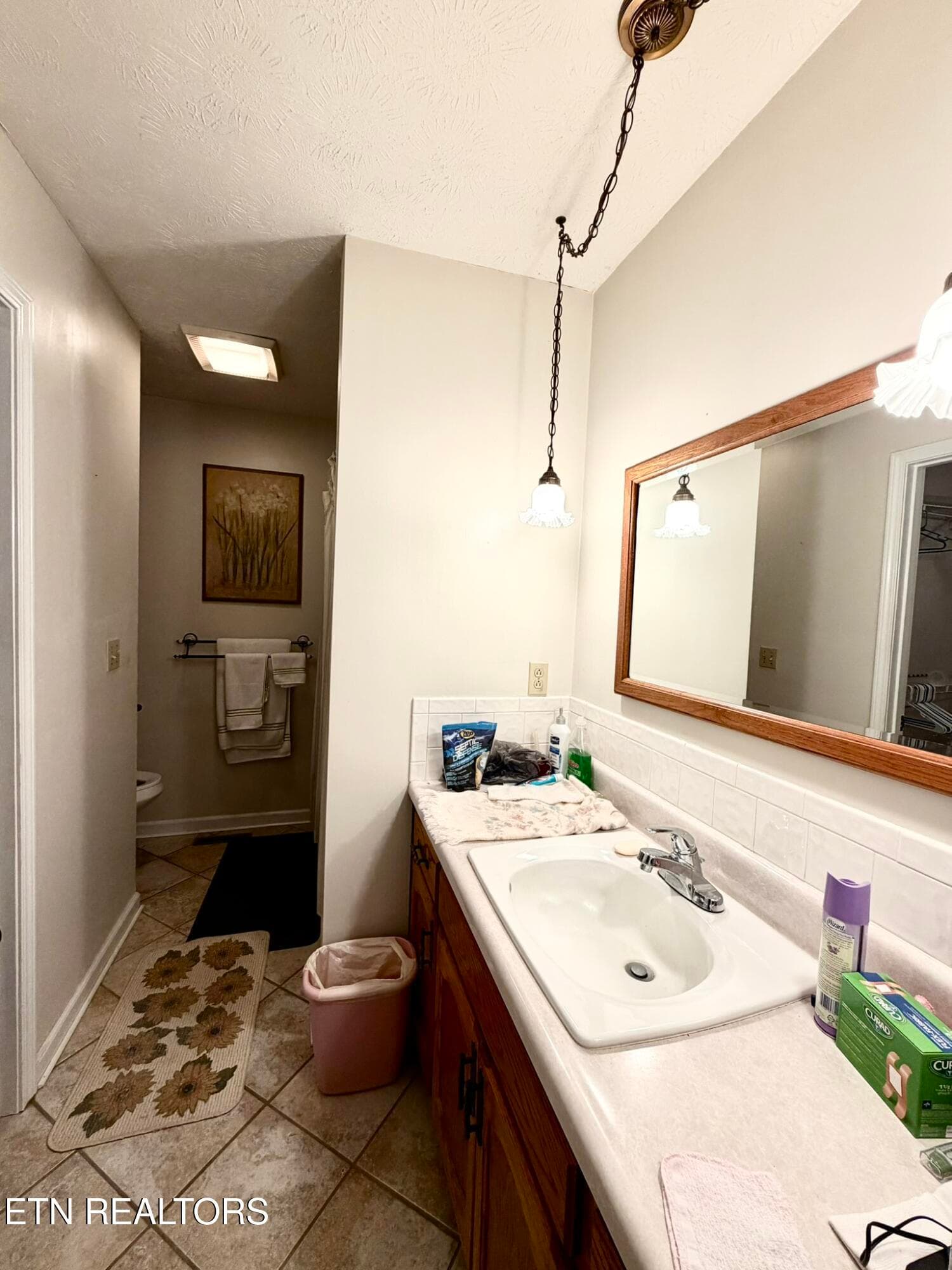 Tipton Myers 135 Master Bath - 135 Tipton Myers Drive, Maryville, TN 37804, Maryville