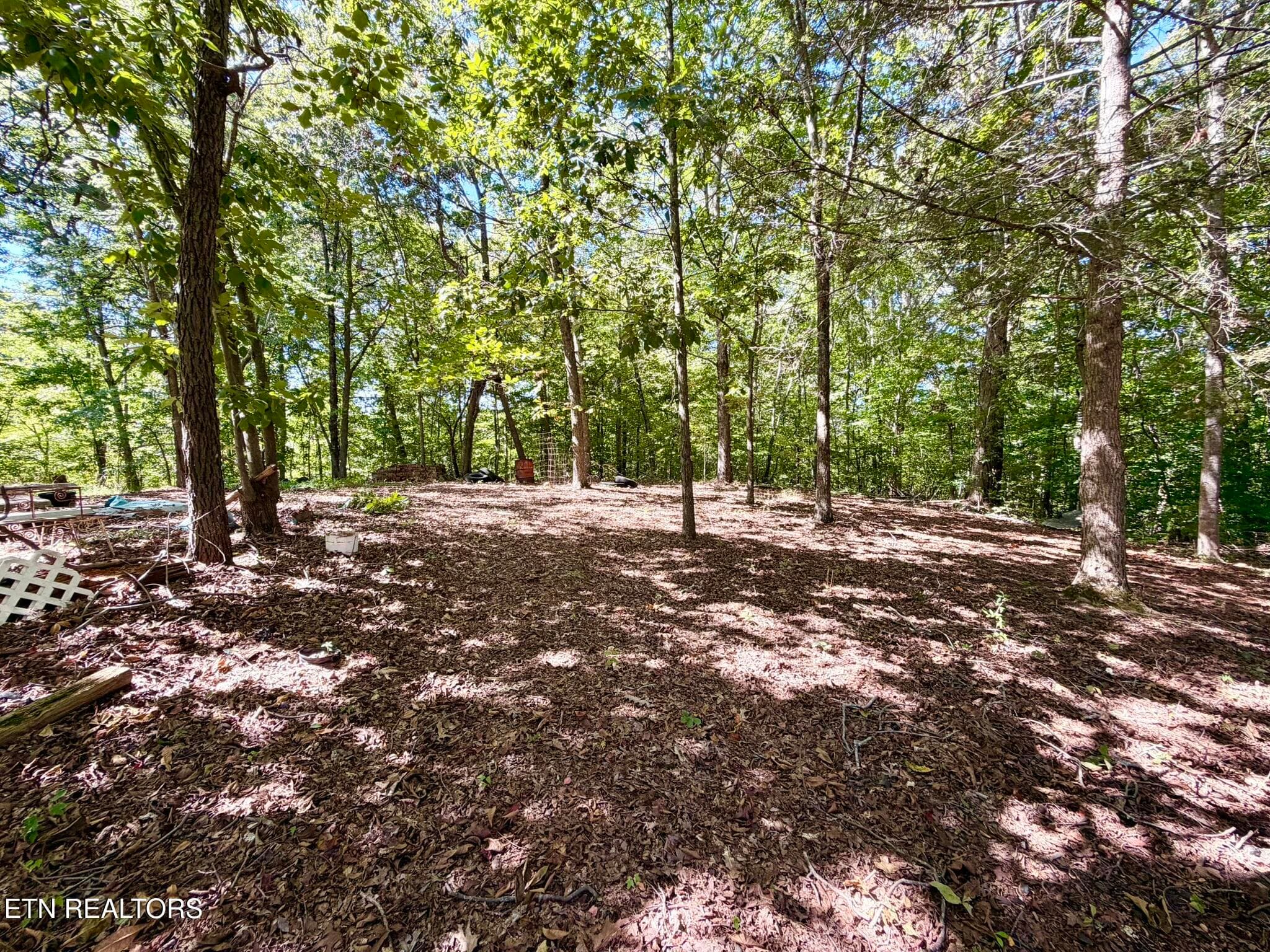 Tipton Myers 135 Rear Woods - 135 Tipton Myers Drive, Maryville, TN 37804, Maryville