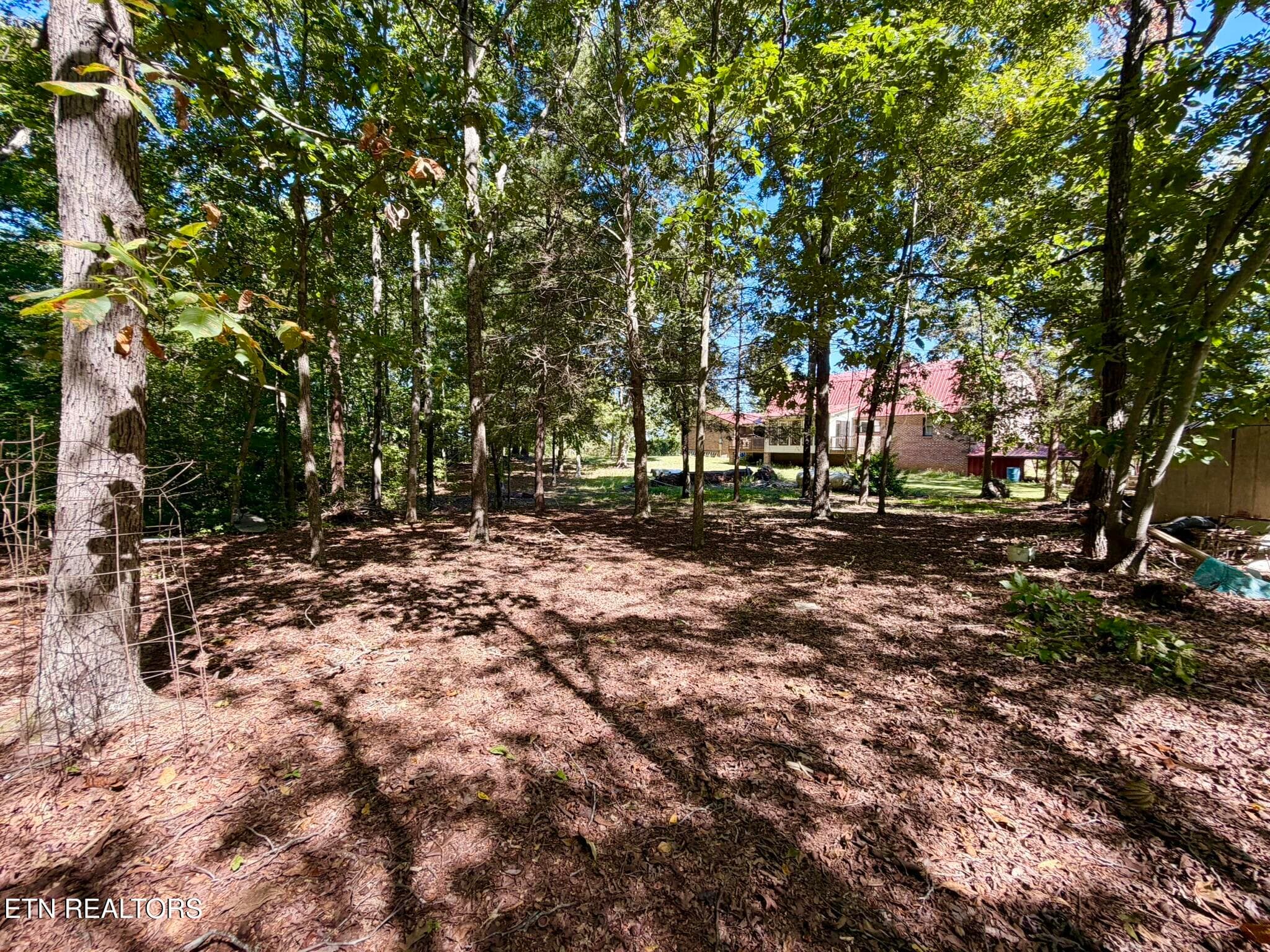 Tipton Myers 135 Rear Yard 2 - 135 Tipton Myers Drive, Maryville, TN 37804, Maryville