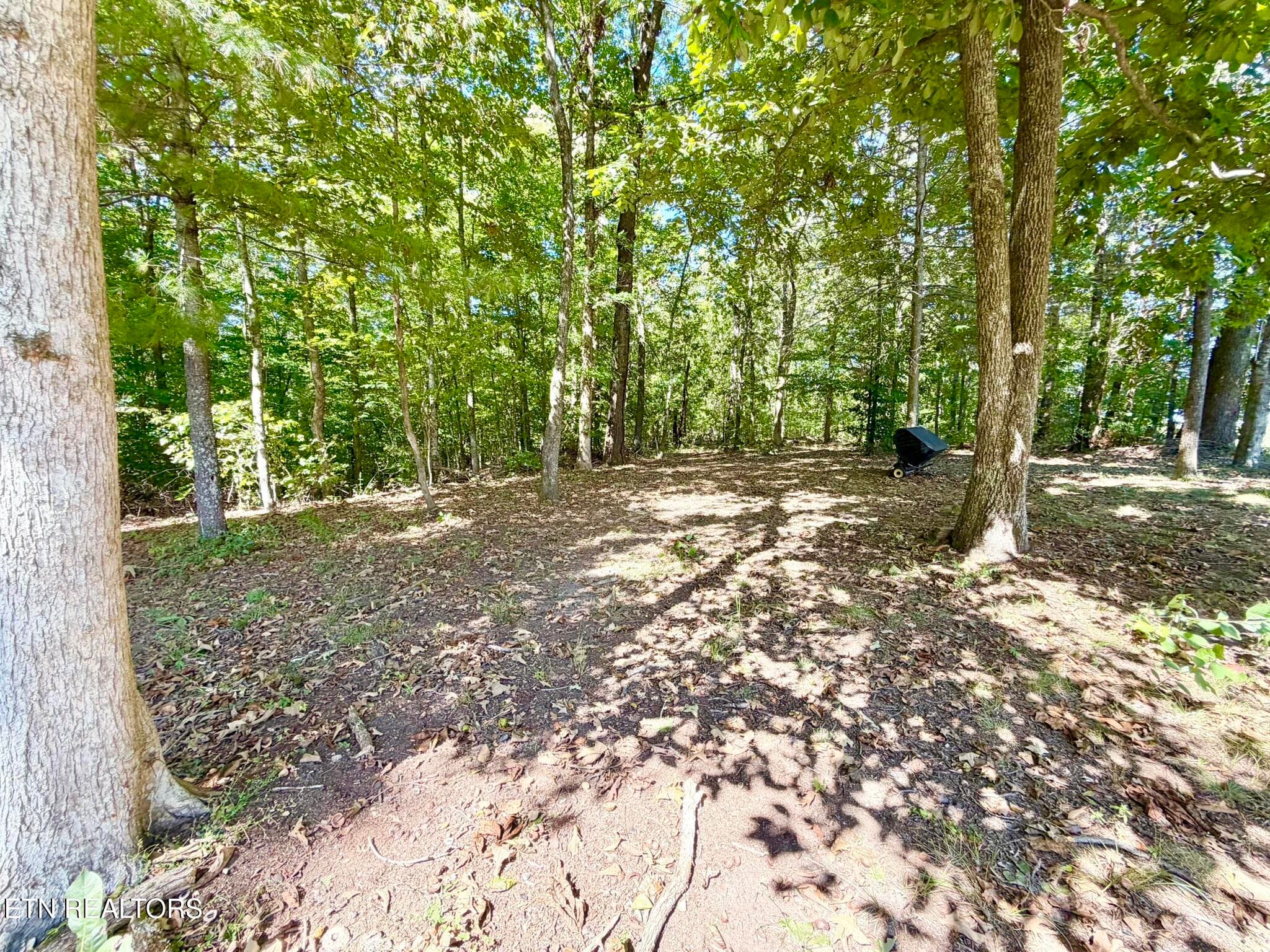 Tipton Myers 135 Rear Yard 3 - 135 Tipton Myers Drive, Maryville, TN 37804, Maryville