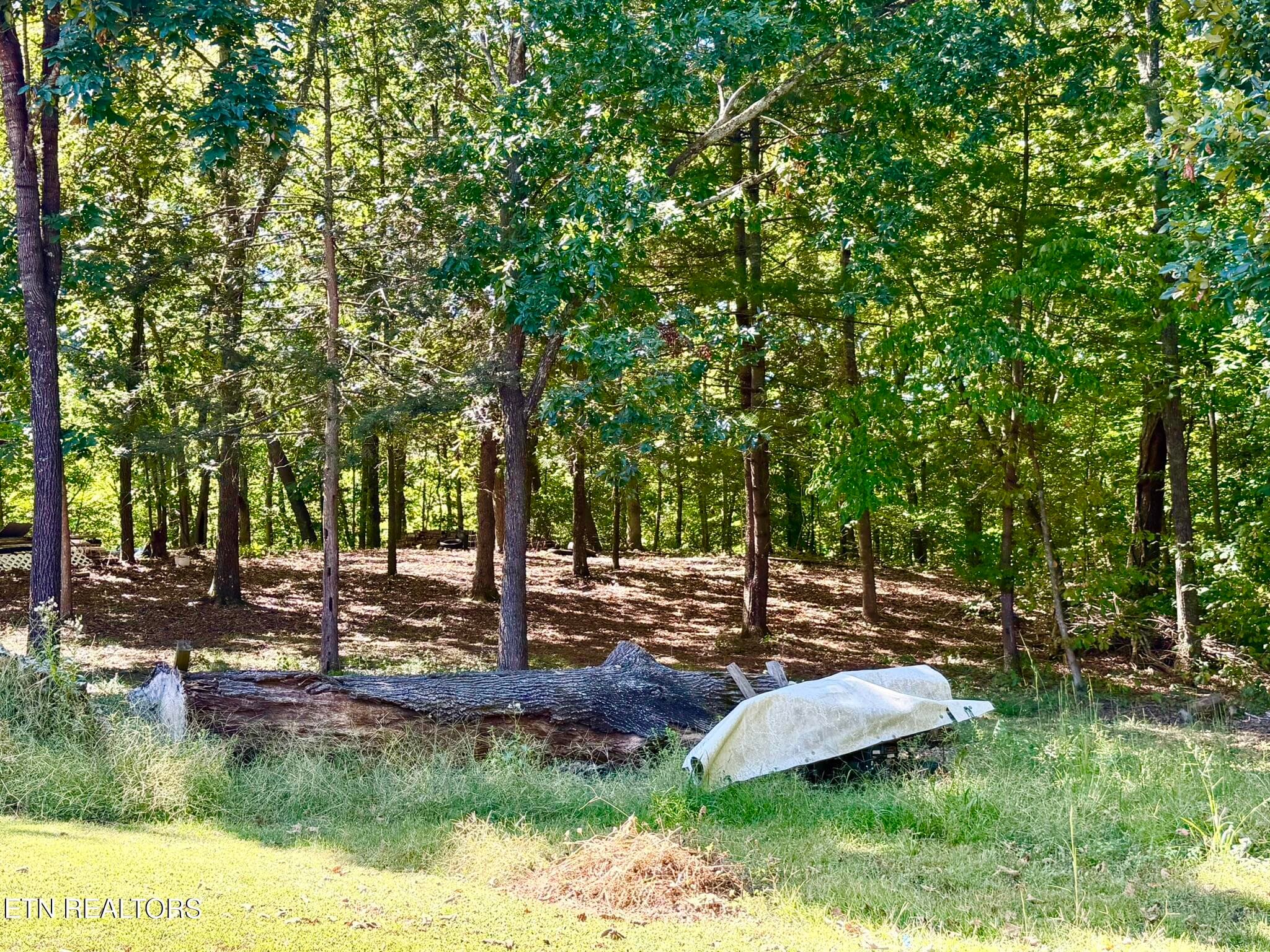 Tipton Myers 135 Rear Yard 5 - 135 Tipton Myers Drive, Maryville, TN 37804, Maryville
