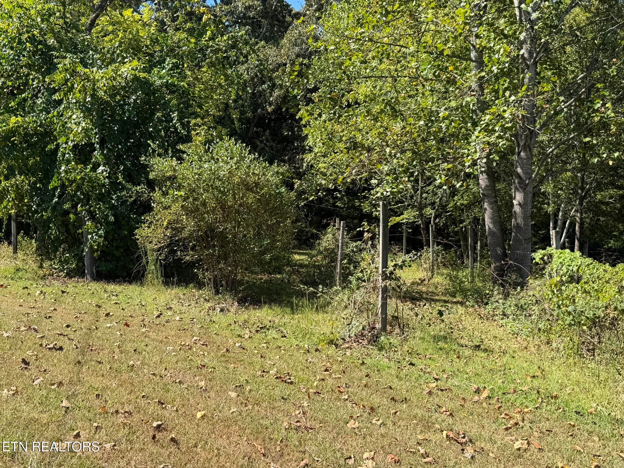 Tipton Myers 135 Vineyard - 135 Tipton Myers Drive, Maryville, TN 37804, Maryville