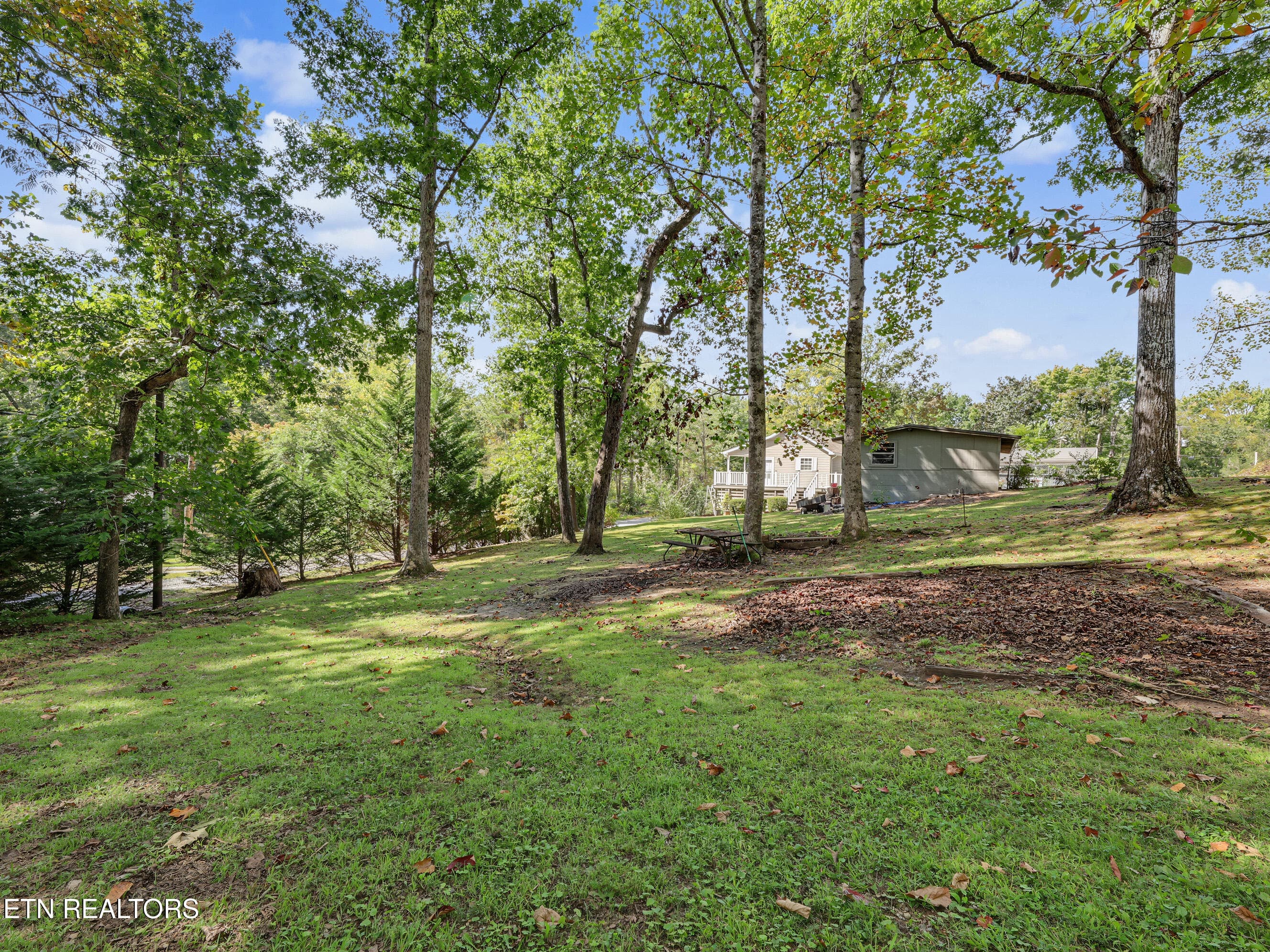 Plenty of yard - 6060 S Circle Drive, Tallassee, TN 37878, Tallassee