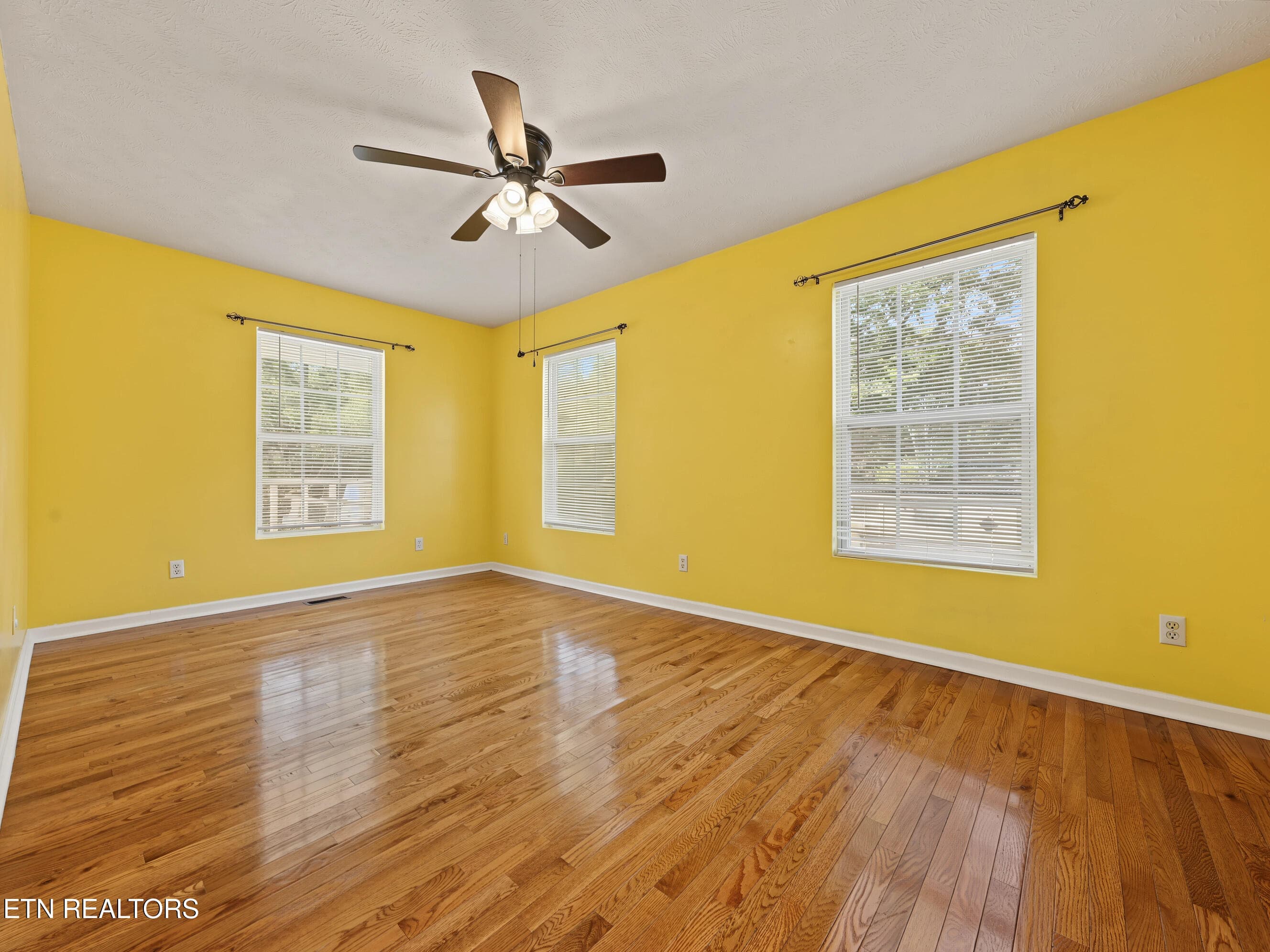 Bedroom 1 - 6060 S Circle Drive, Tallassee, TN 37878, Tallassee