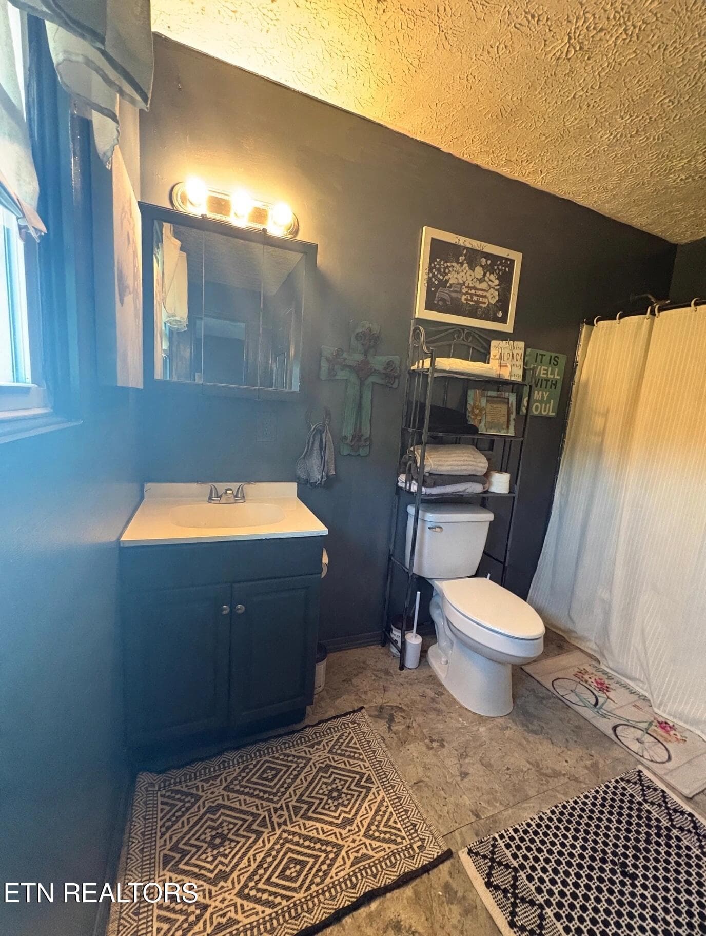 main bath - 1674 Goodfield Rd, Decatur, TN 37322