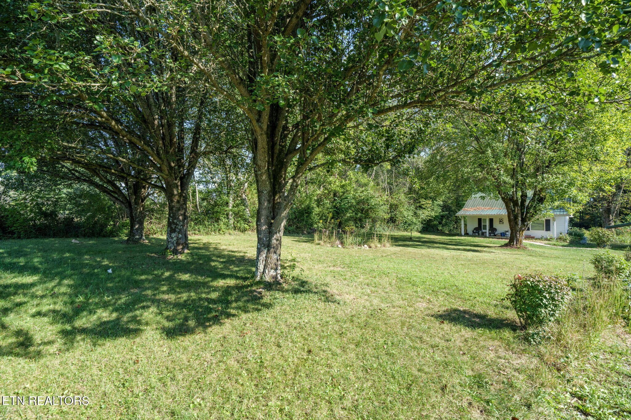 Front Yard - 742 Highway 68, Crossville, TN 38555, Crossville