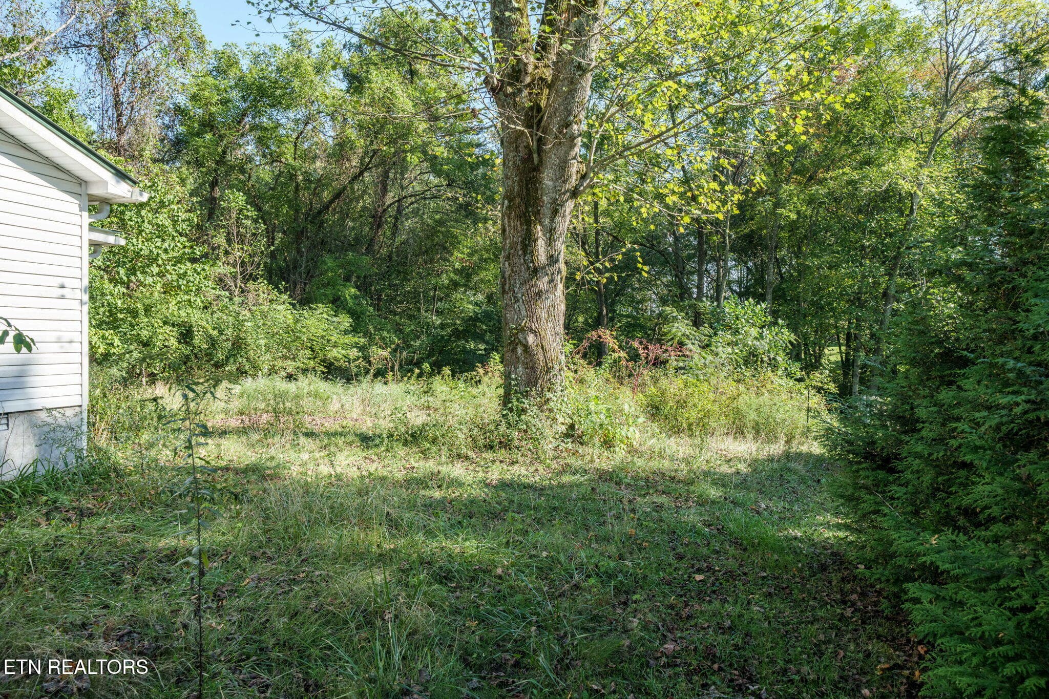 Backyard - 742 Highway 68, Crossville, TN 38555, Crossville