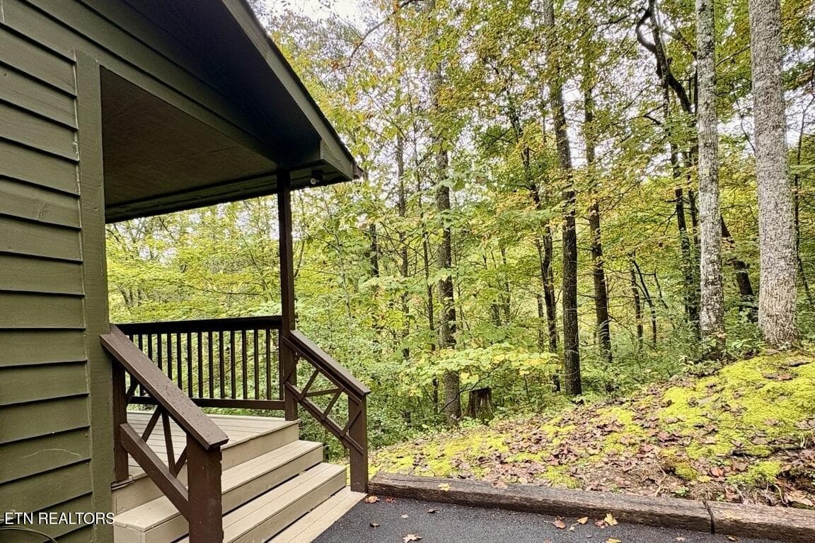 IMG_7037_landscape - 115 Fern Hollow Rd, Townsend, TN 37882, Townsend