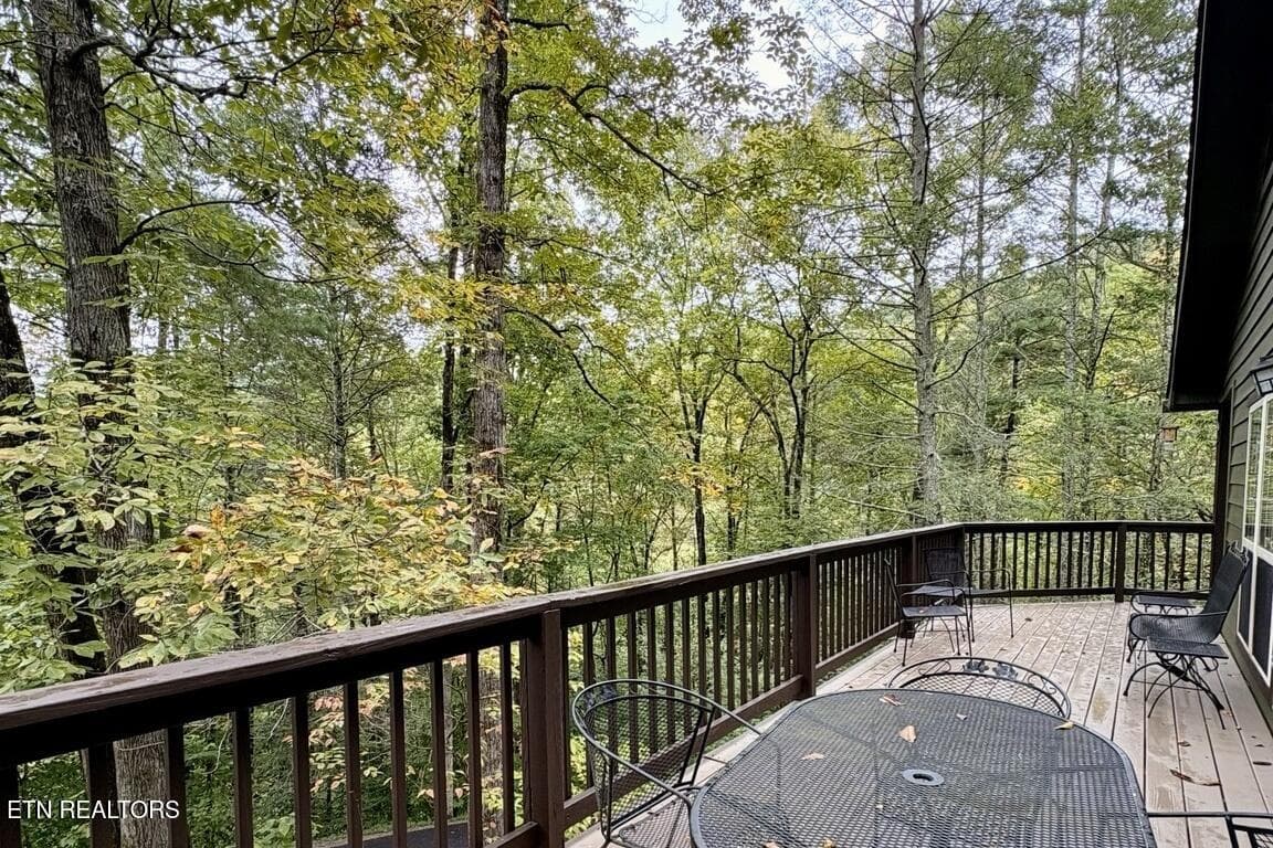 IMG_7044_landscape - 115 Fern Hollow Rd, Townsend, TN 37882, Townsend