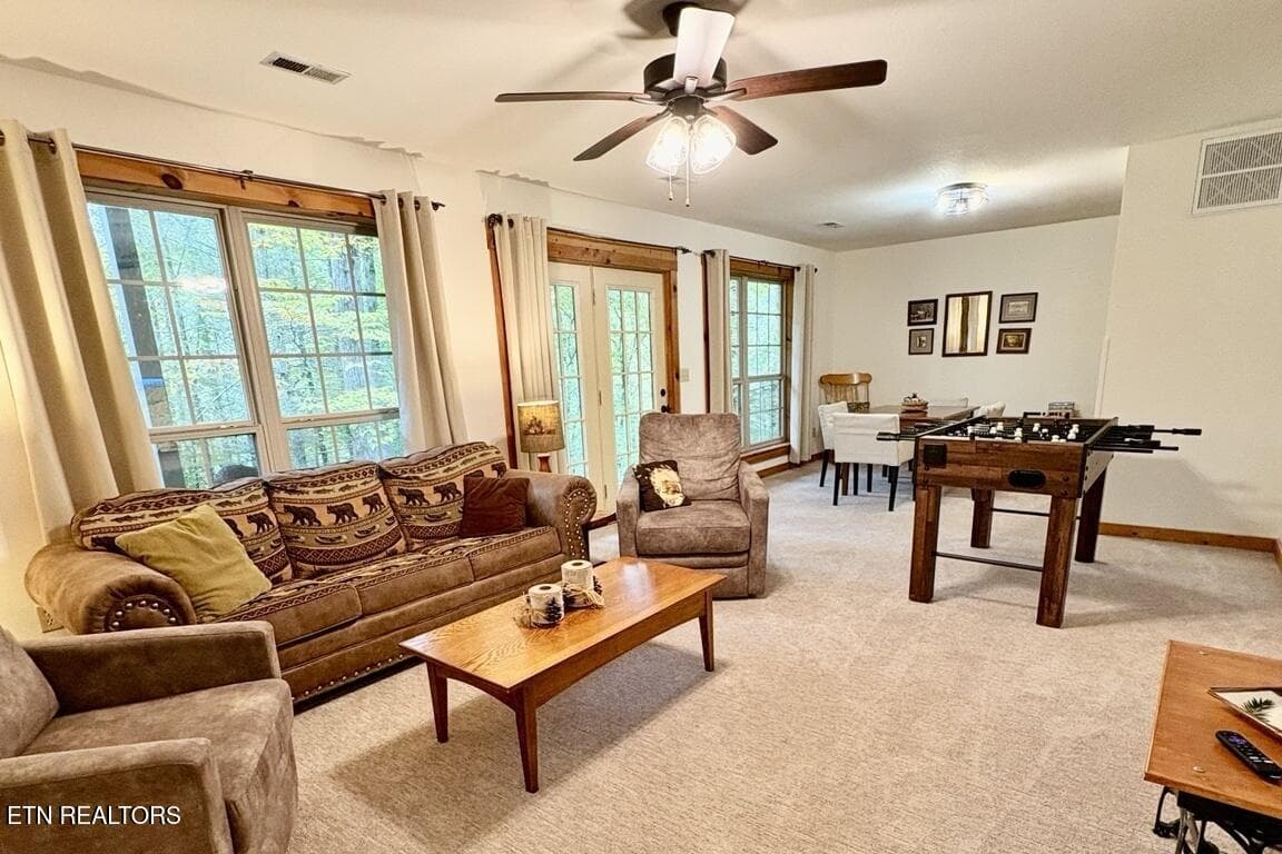 IMG_7070_landscape - 115 Fern Hollow Rd, Townsend, TN 37882, Townsend