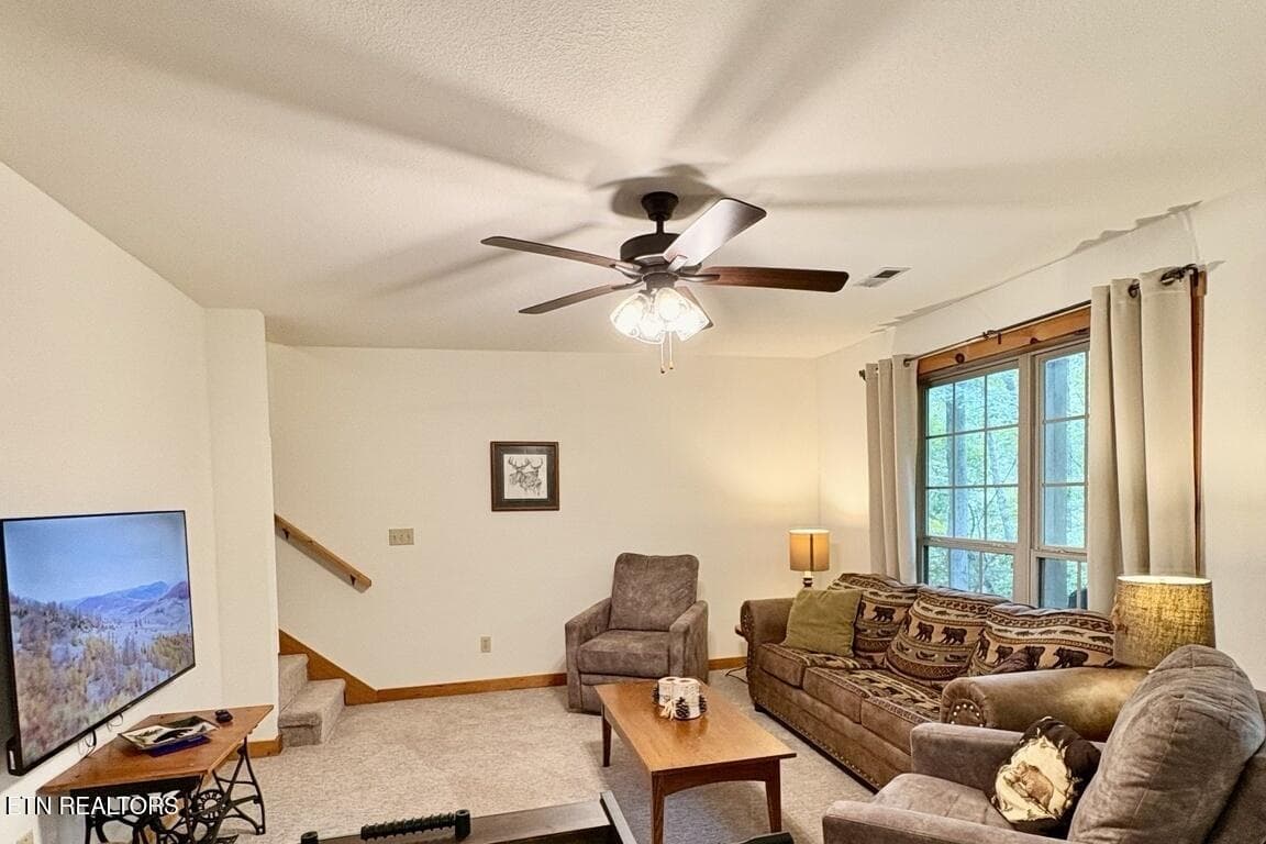 IMG_7073_landscape - 115 Fern Hollow Rd, Townsend, TN 37882, Townsend