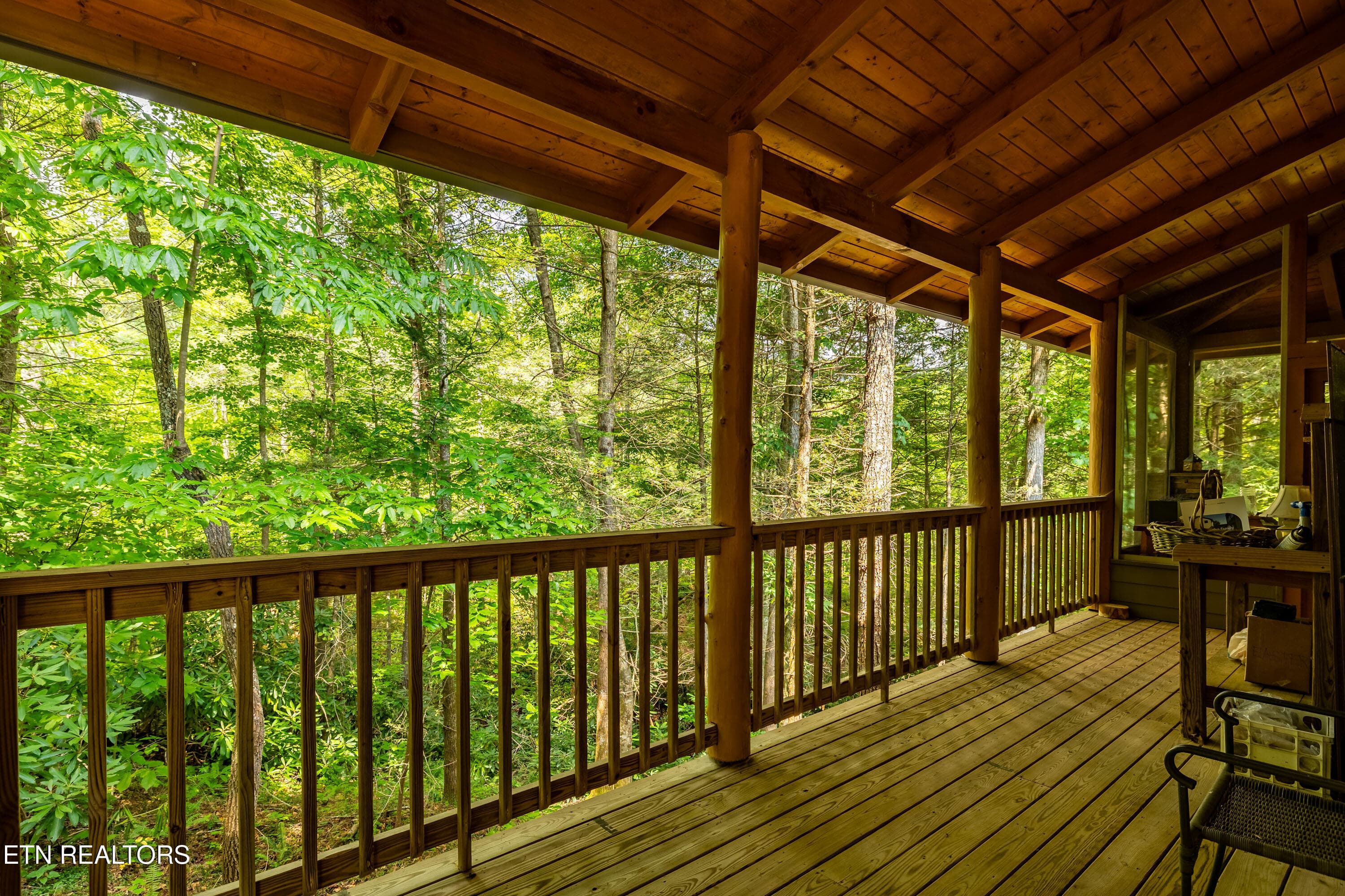 112SunshineWay-32 - 112 Sunshine Way, Townsend, TN 37882, Townsend