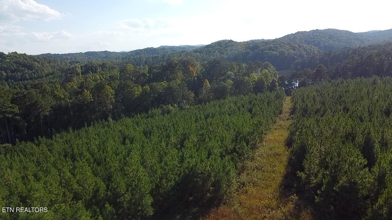 2026-10-01-17-18-42-533 - Ridgeline Drive, Vonore, TN 37885