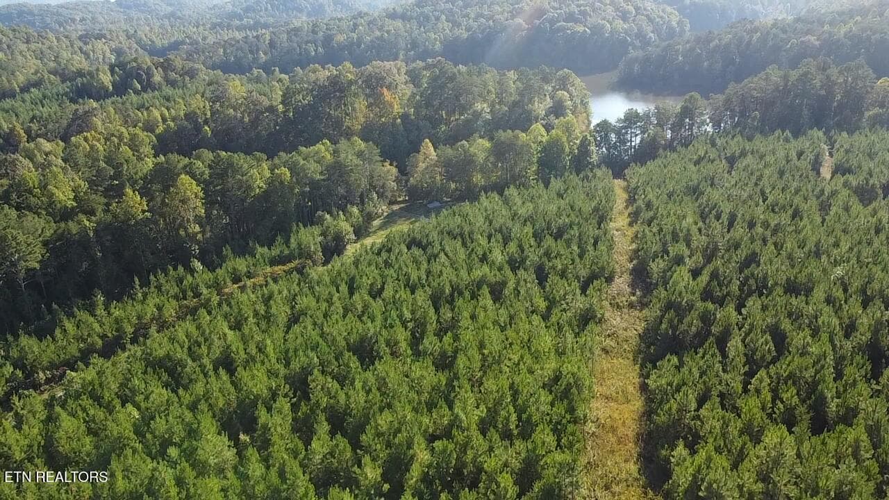 2026-10-01-17-22-08-476 - Ridgeline Drive, Vonore, TN 37885