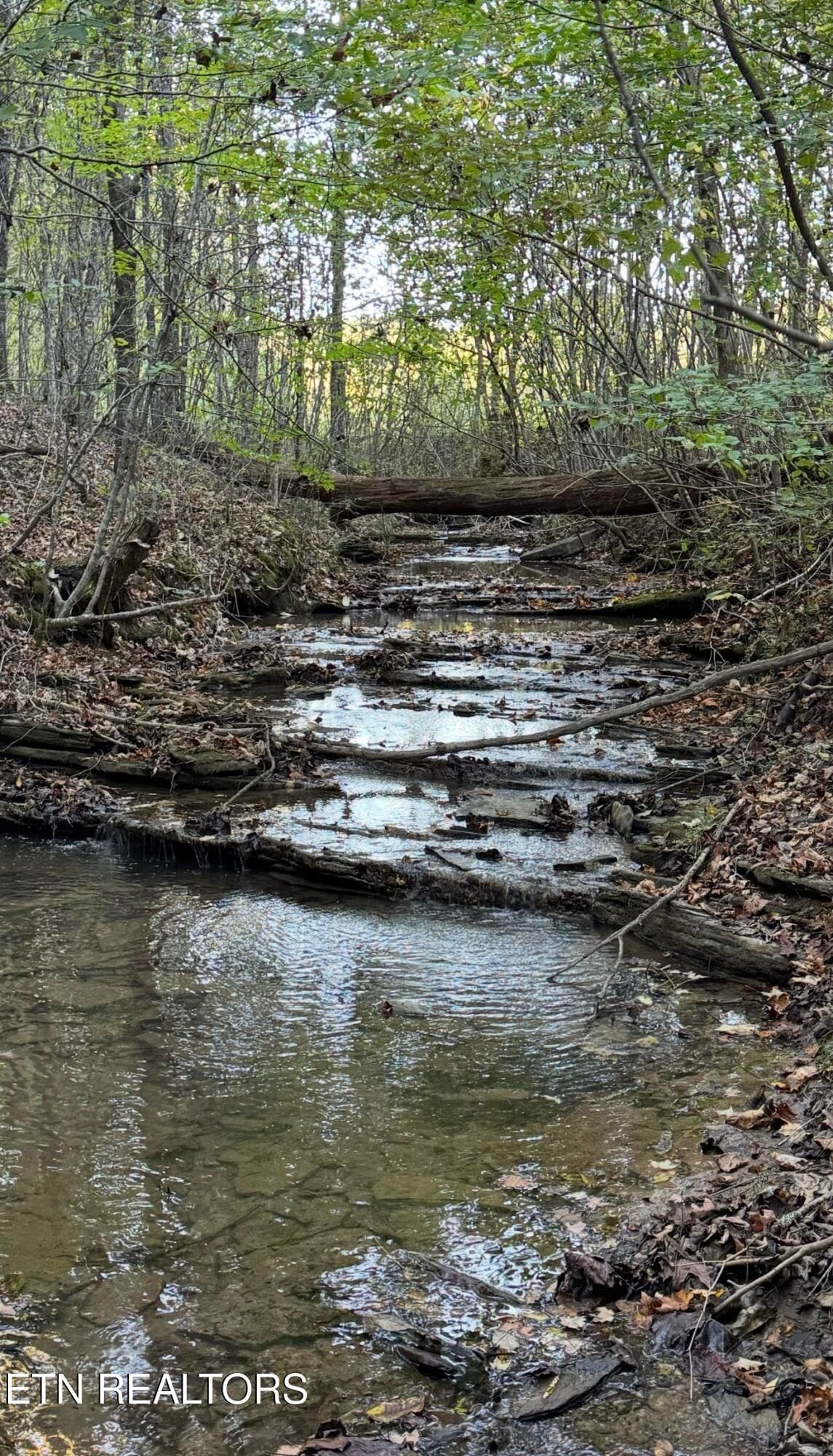 IMG_0410 - 106 Cagle Rd, Tellico Plains, TN 37385, Tellico Plains