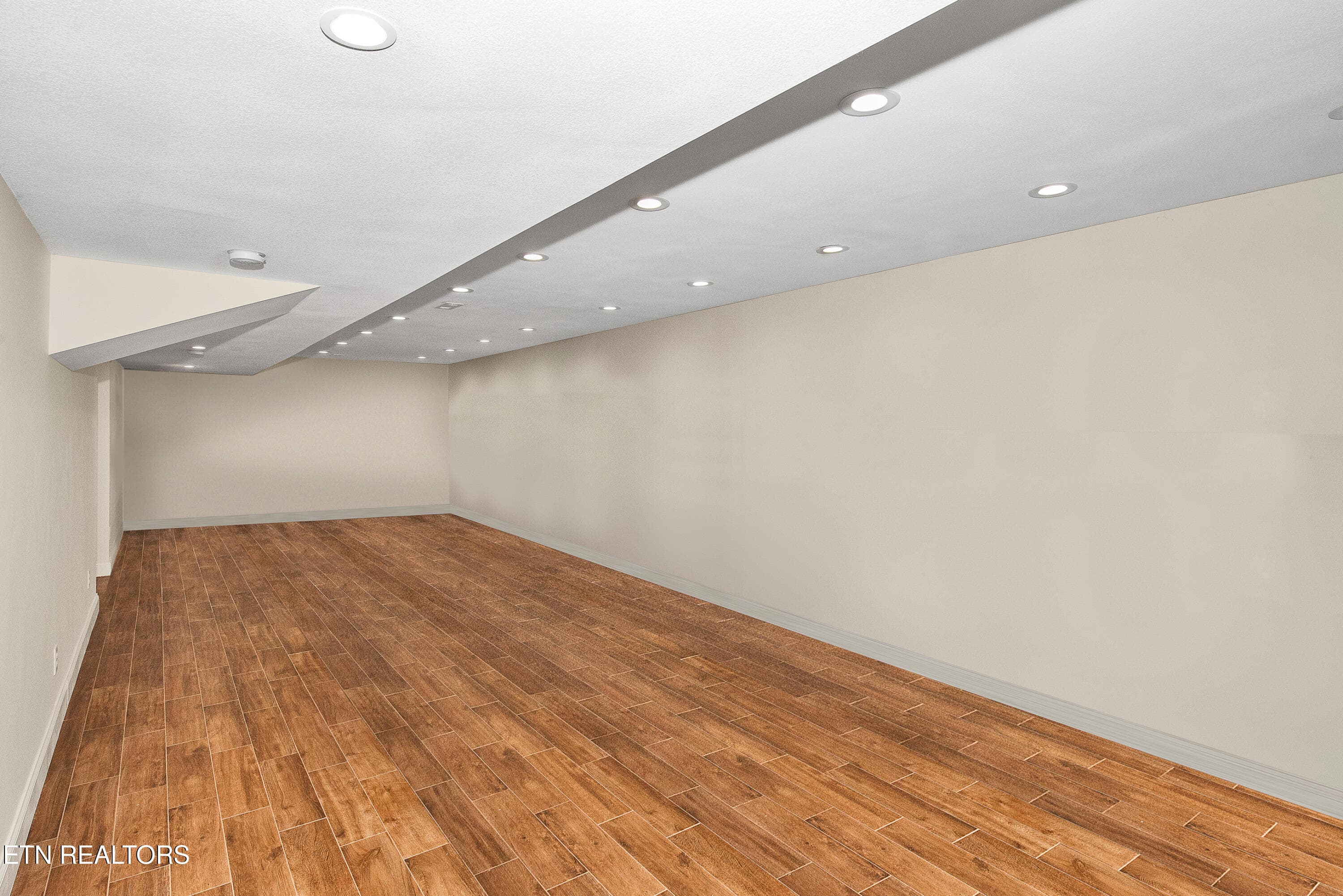 Finished Basement Area - 4667 Old Niles Ferry Rd, Maryville, TN 37801, Maryville