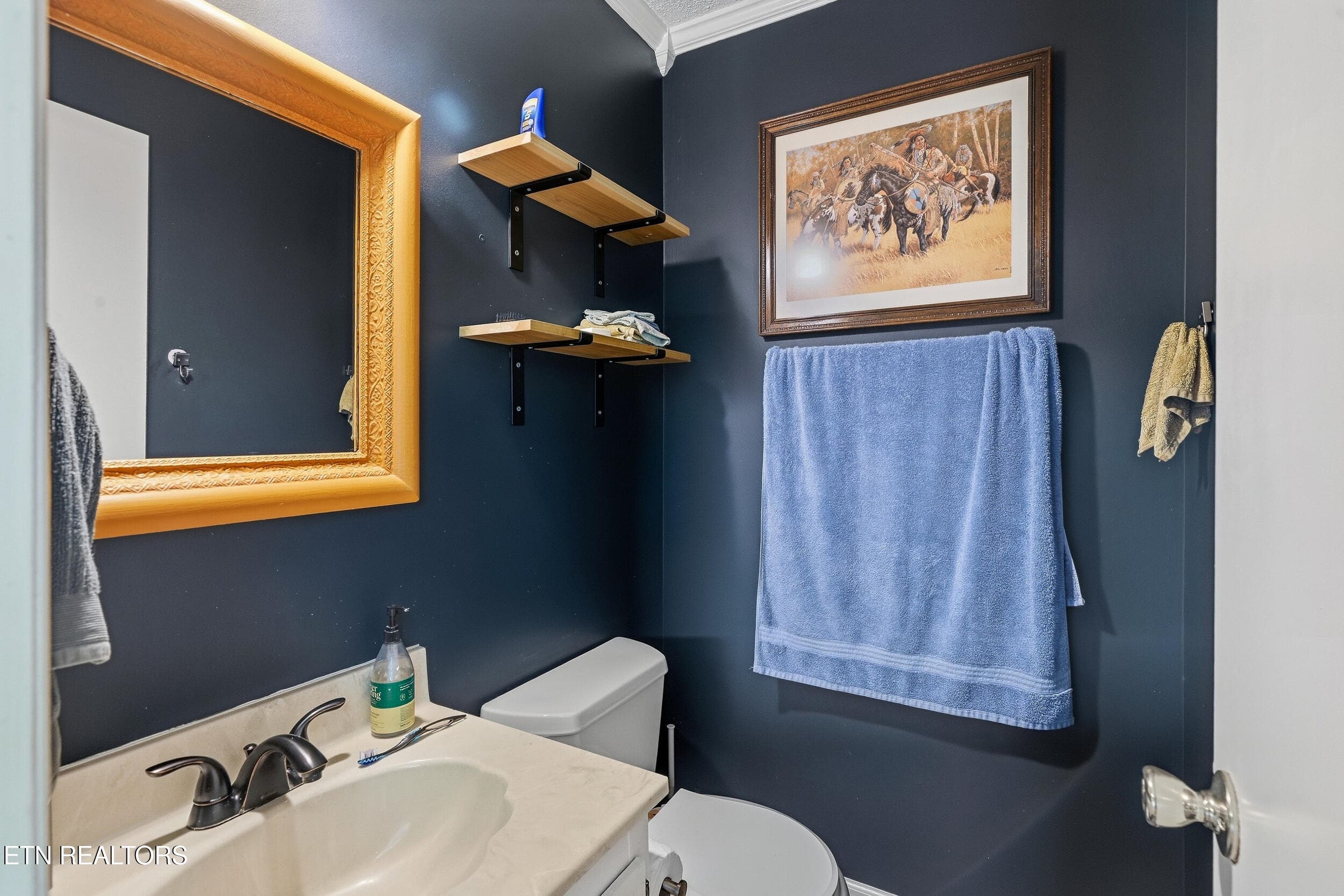 master bathroom - 1403 Northshire Lane, Knoxville, TN 37922, Knoxville