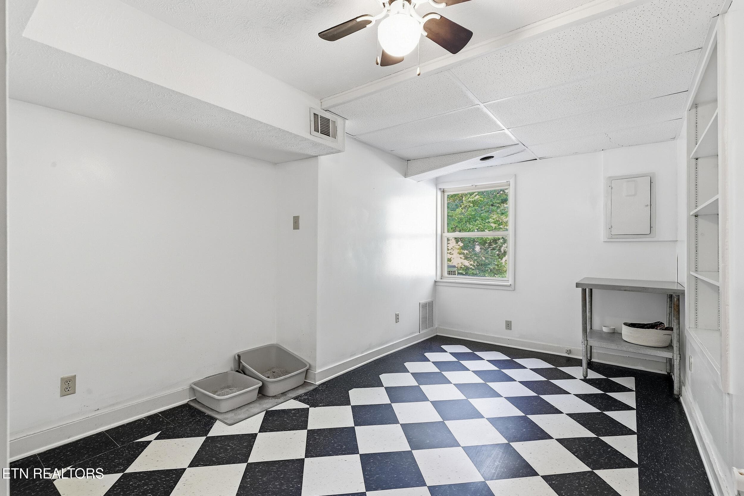 Room in basement - 1403 Northshire Lane, Knoxville, TN 37922, Knoxville